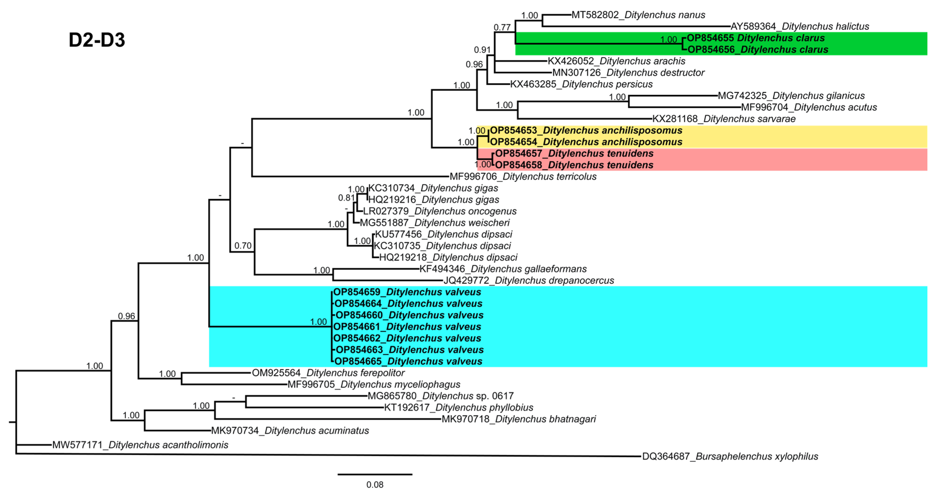 Plants 12 00998 g009 Plants 12 00998 g009