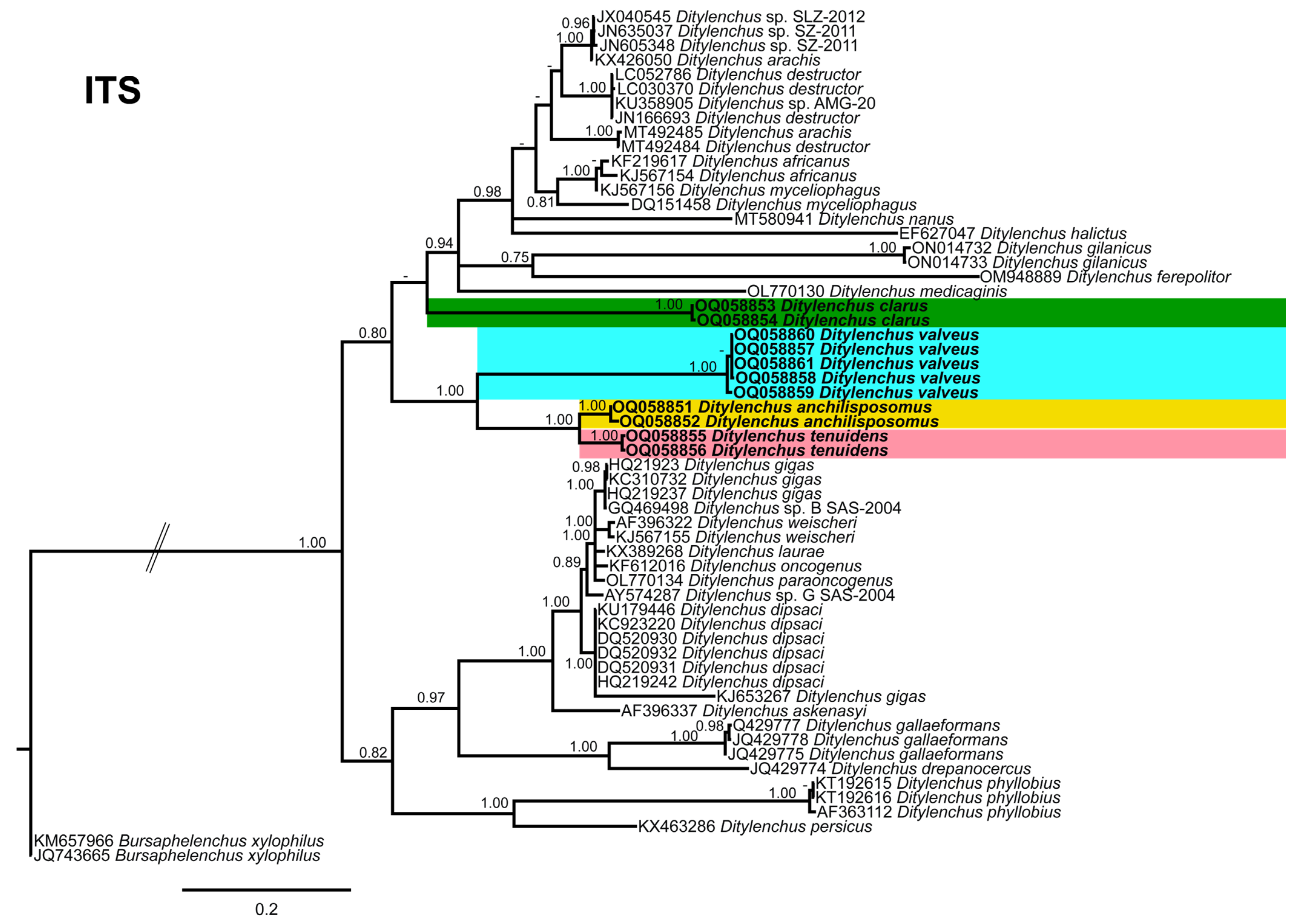 Plants 12 00998 g010 Plants 12 00998 g010
