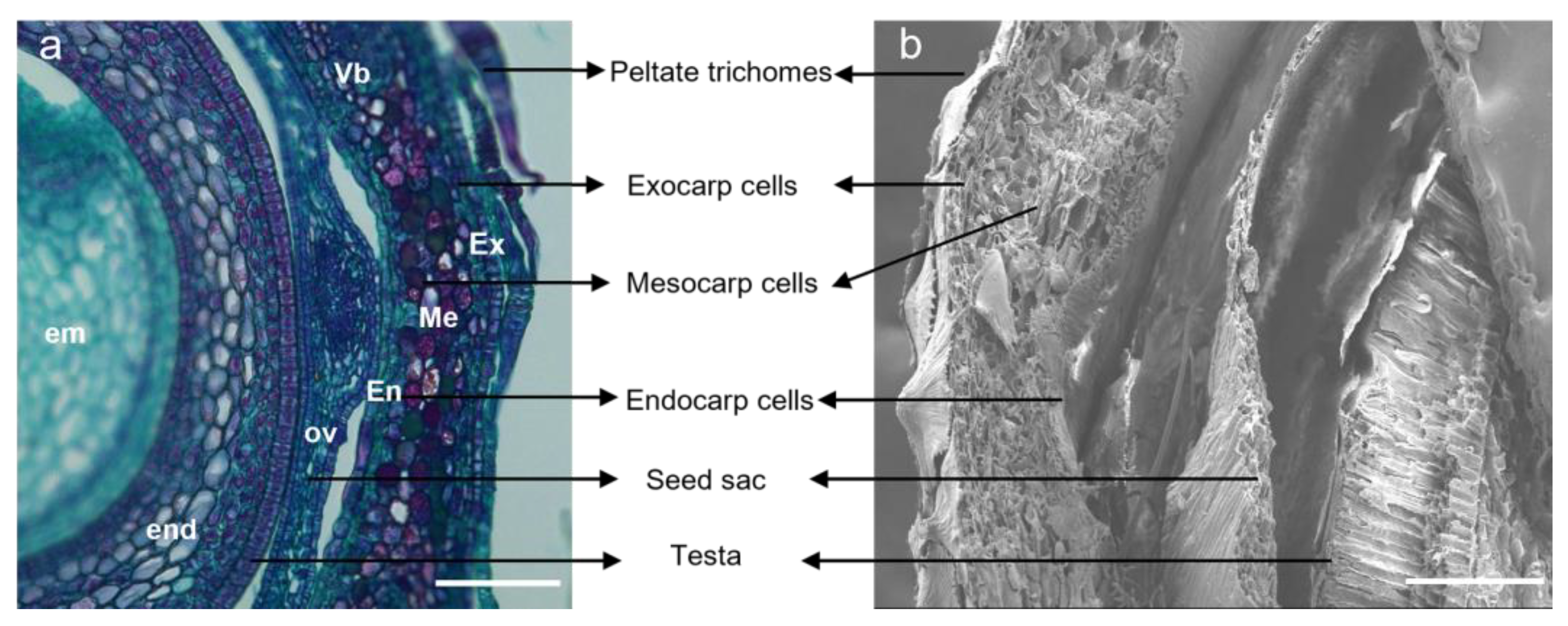 Plants 12 01005 g005