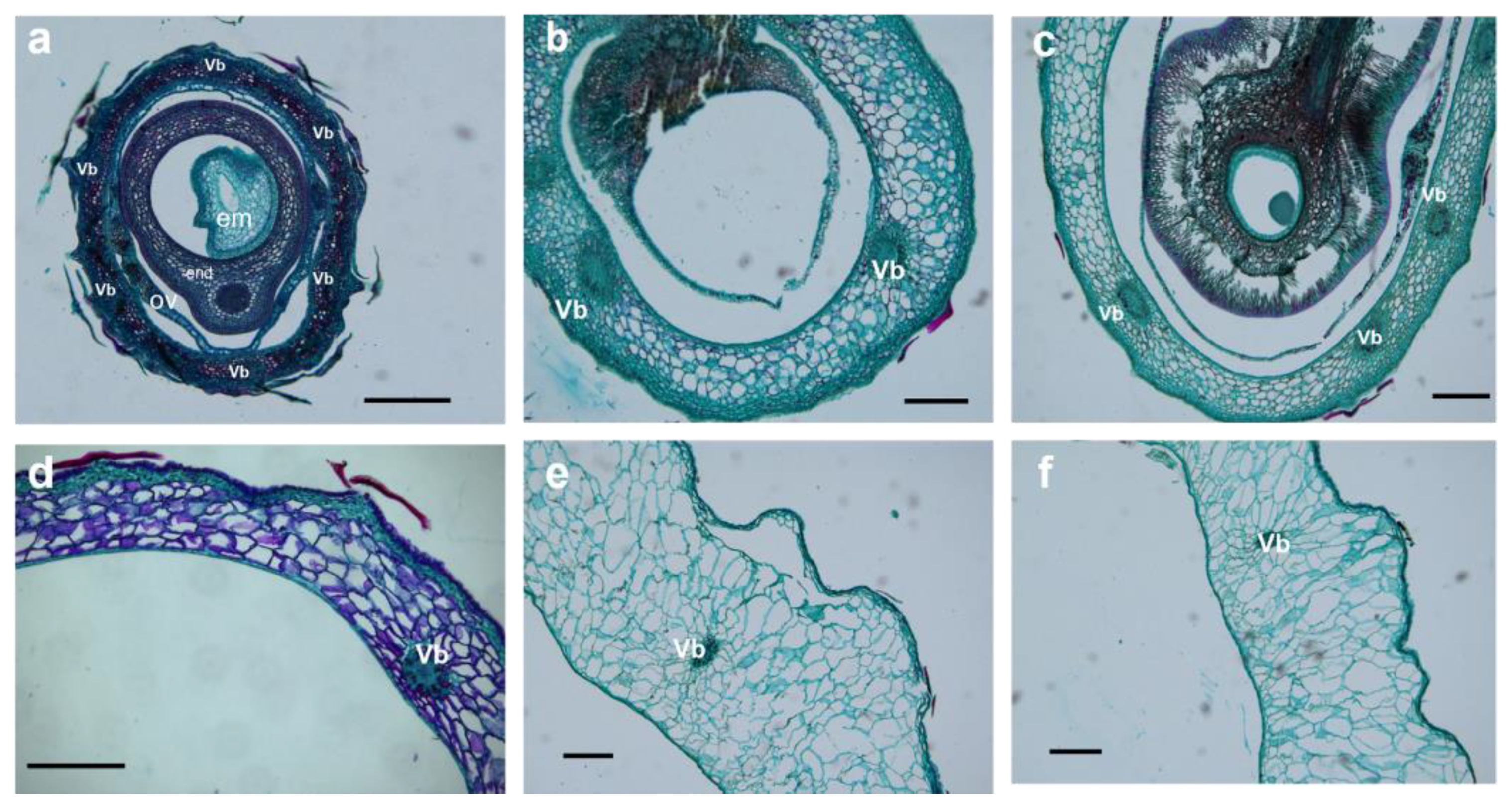 Plants 12 01005 g006