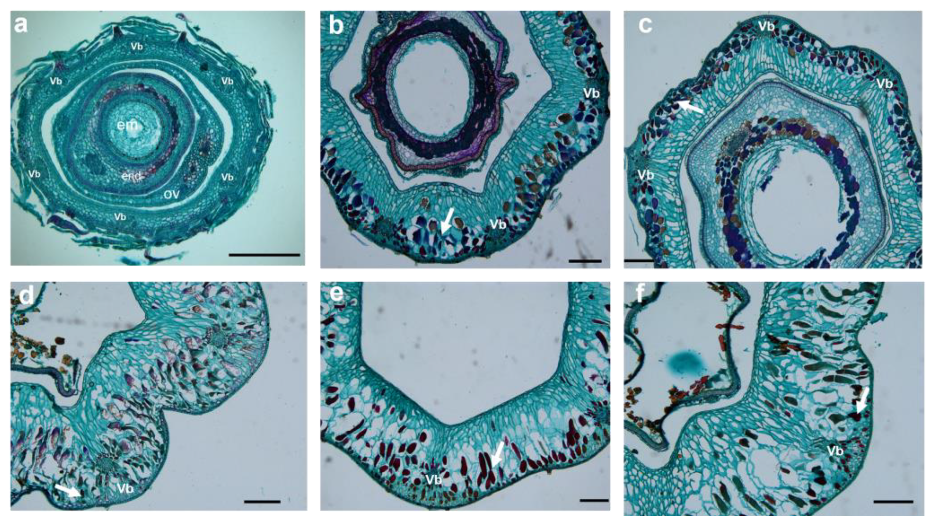 Plants 12 01005 g008