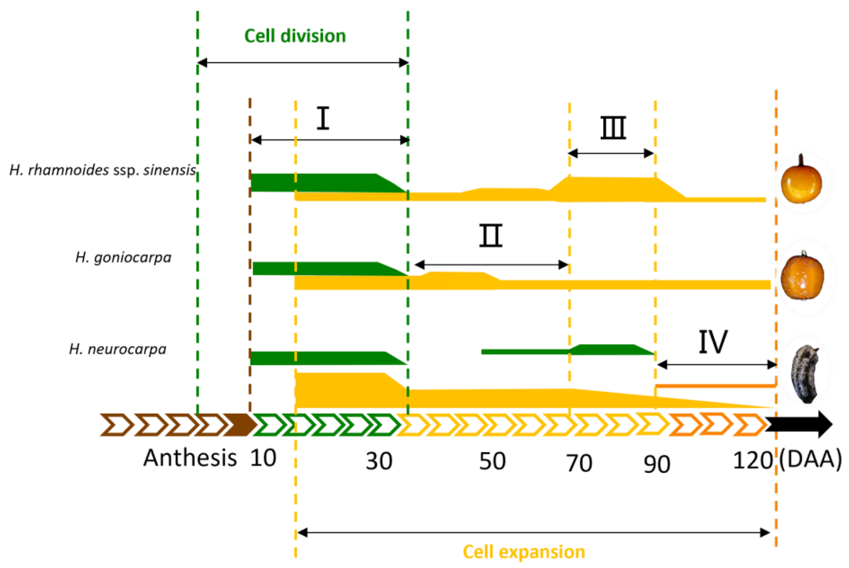 Plants 12 01005 g010