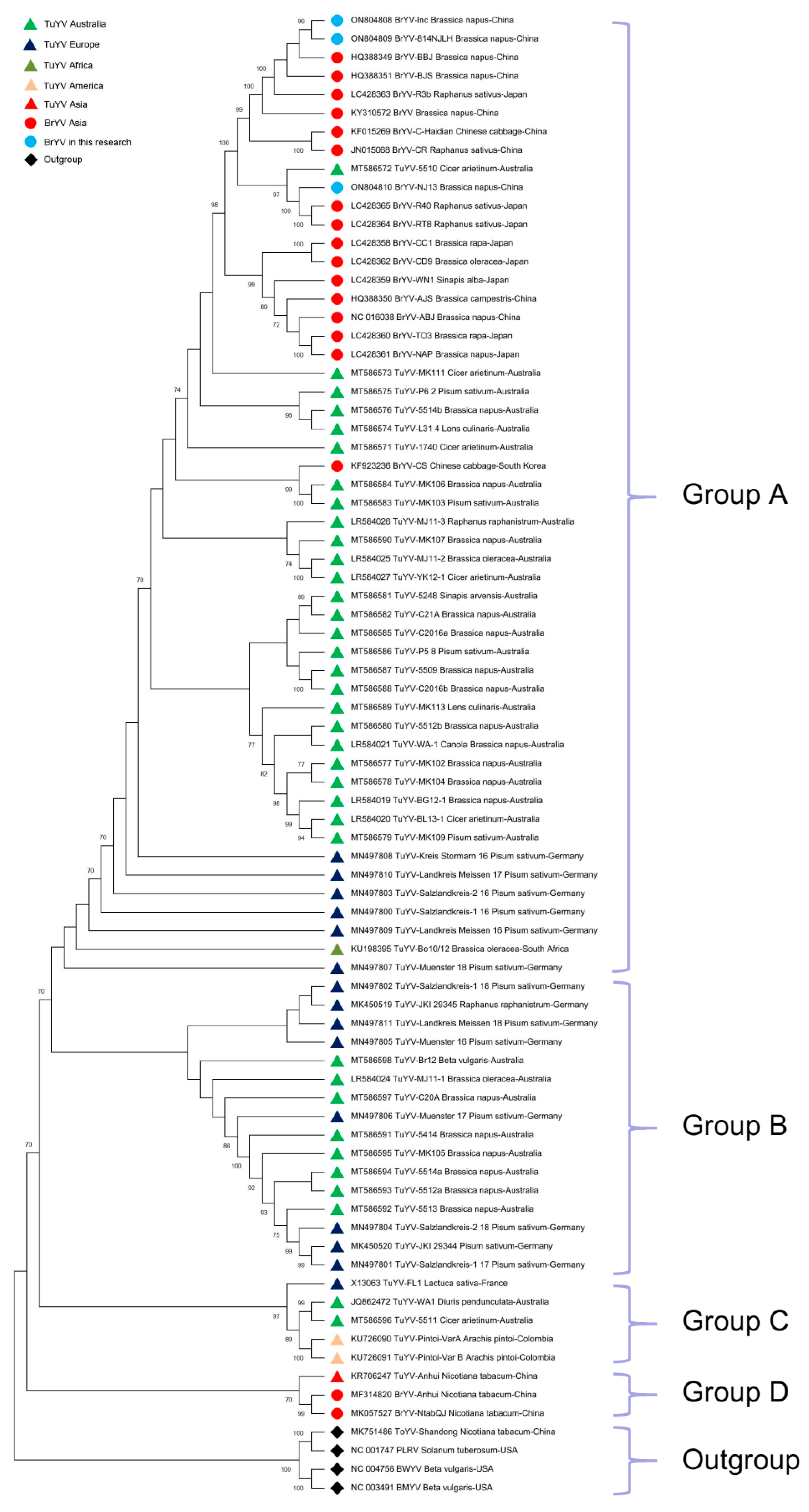 Plants 12 01008 g004