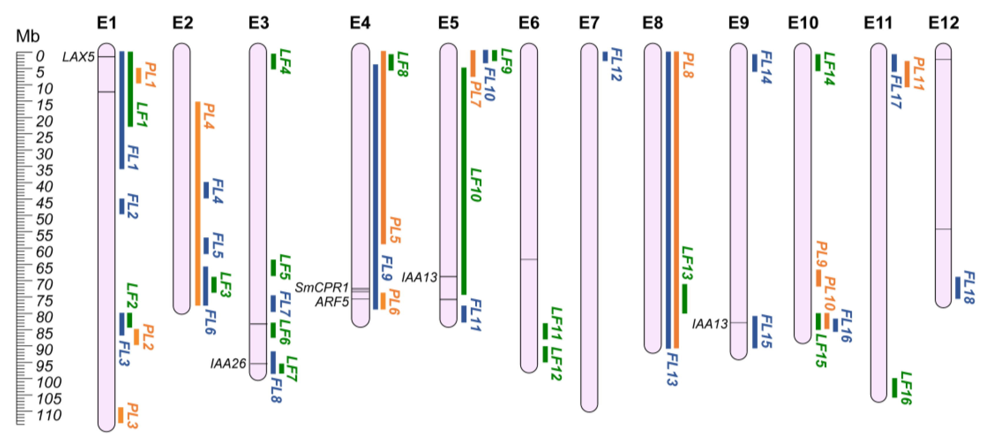 Plants 12 01016 g001