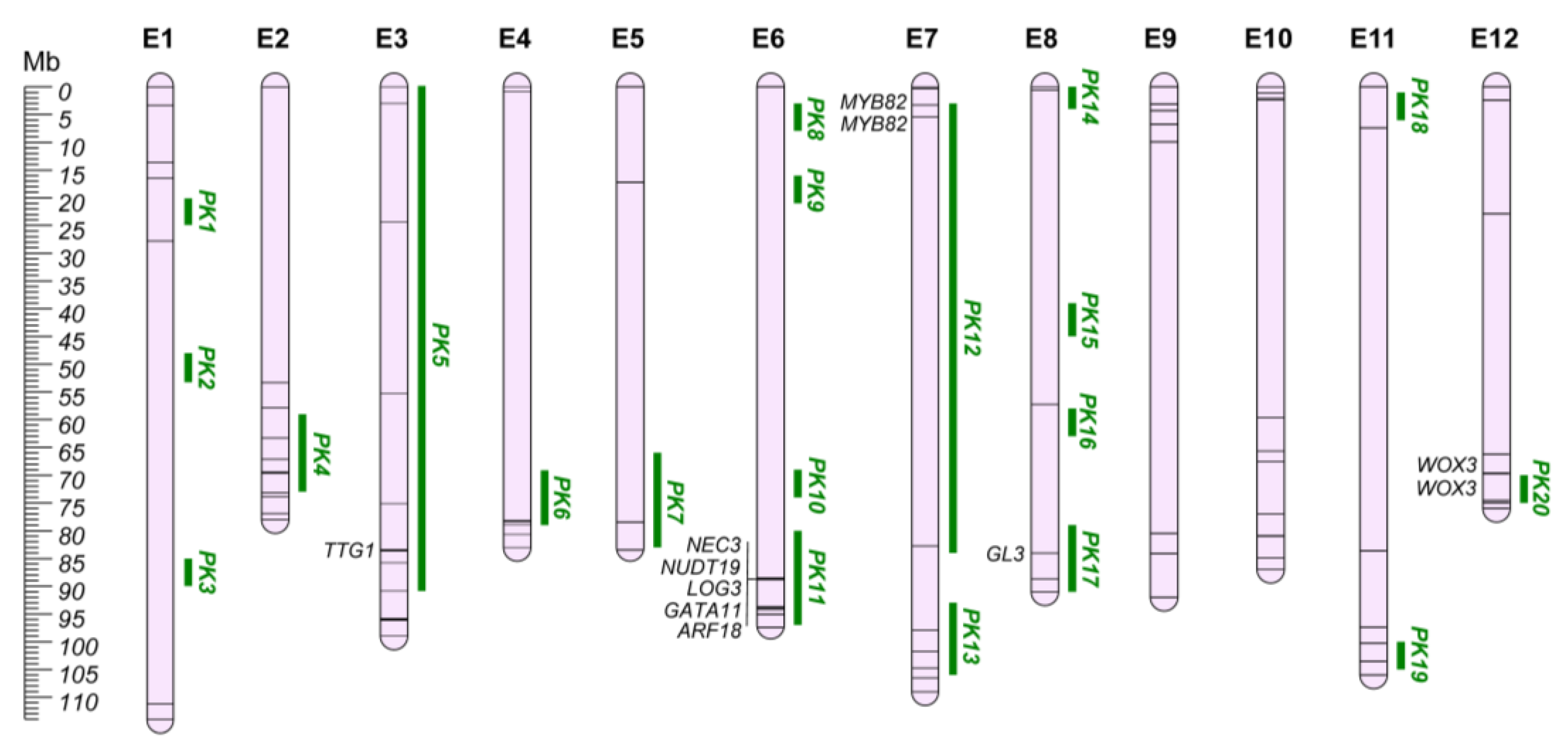 Plants 12 01016 g002