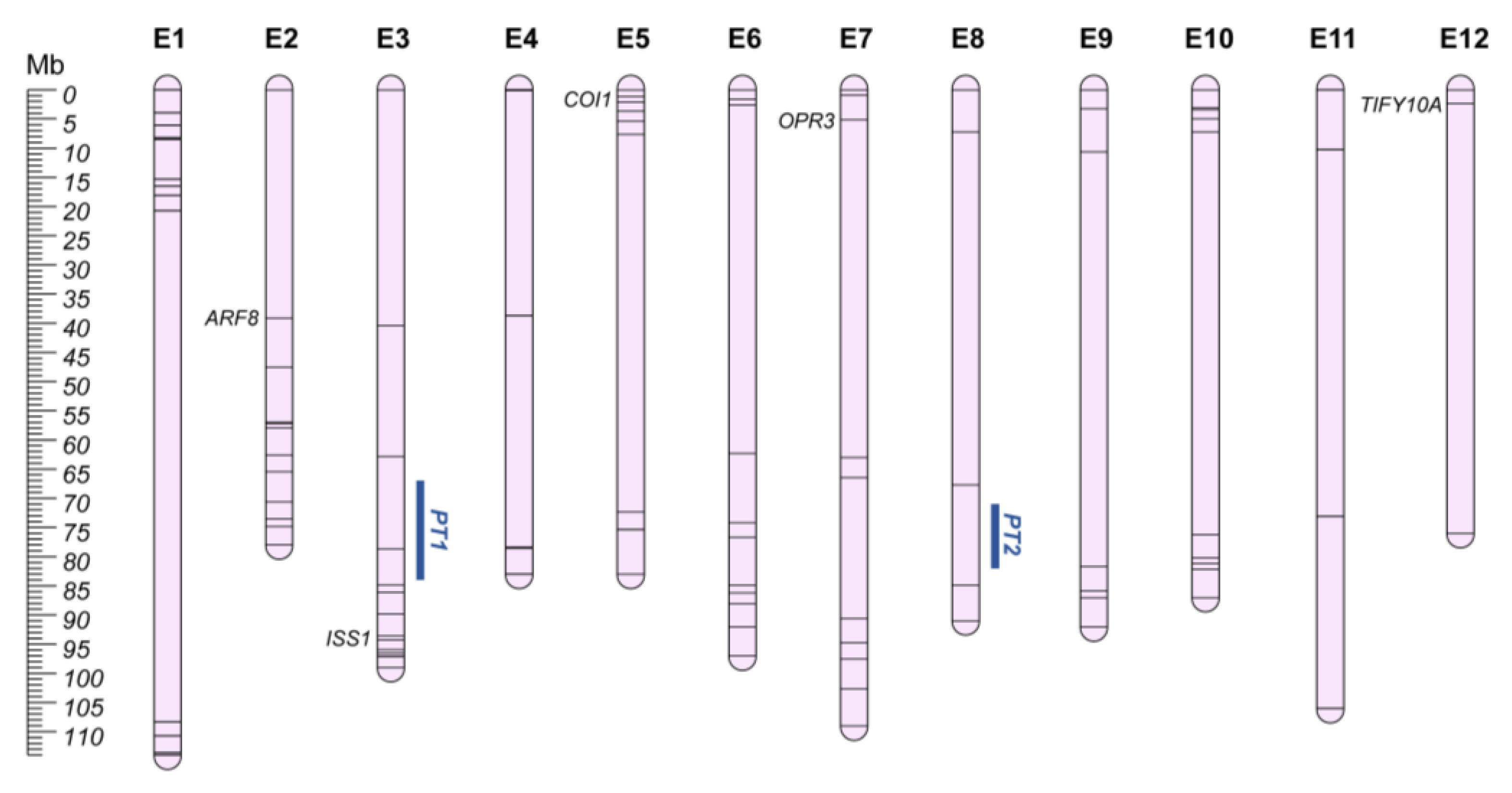 Plants 12 01016 g003