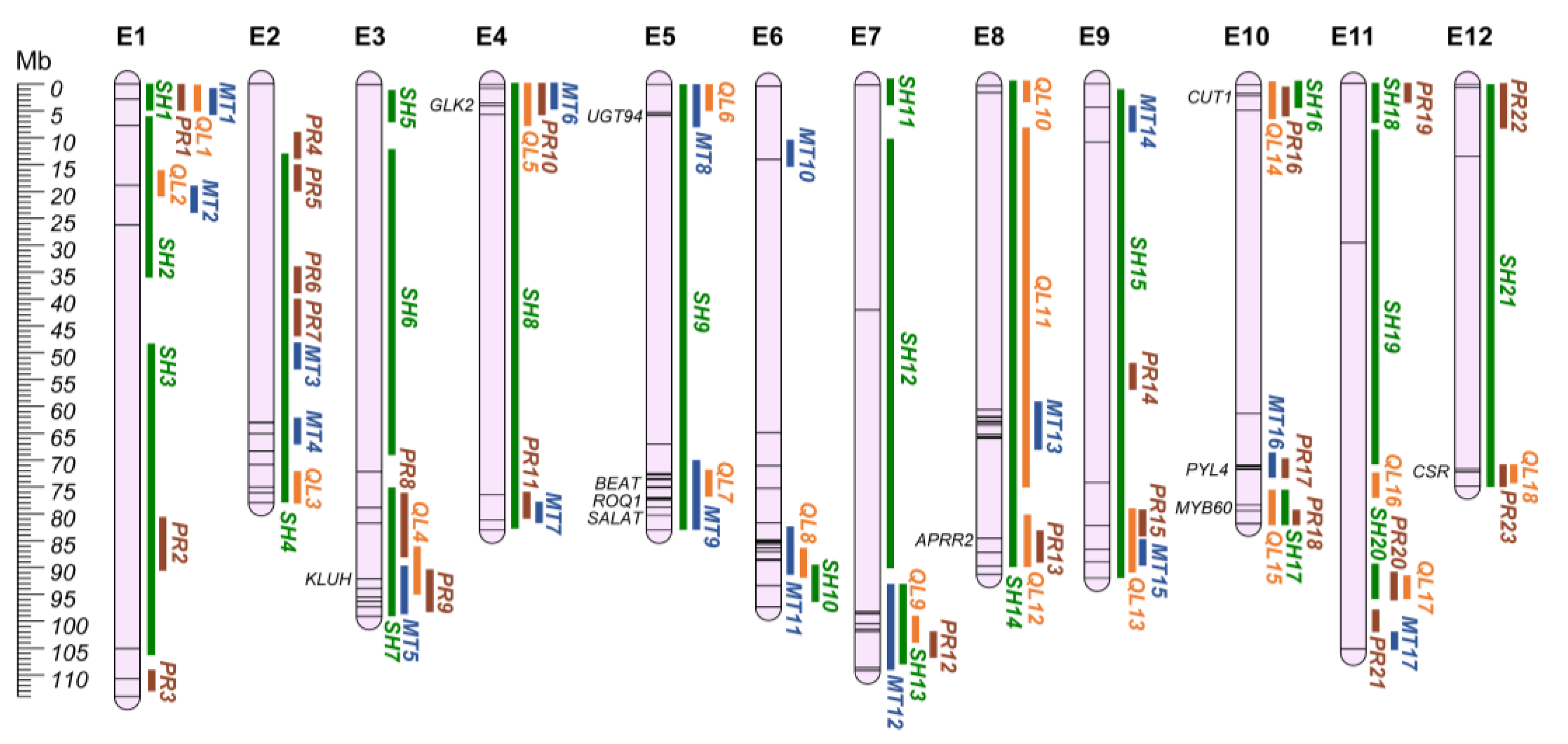 Plants 12 01016 g004