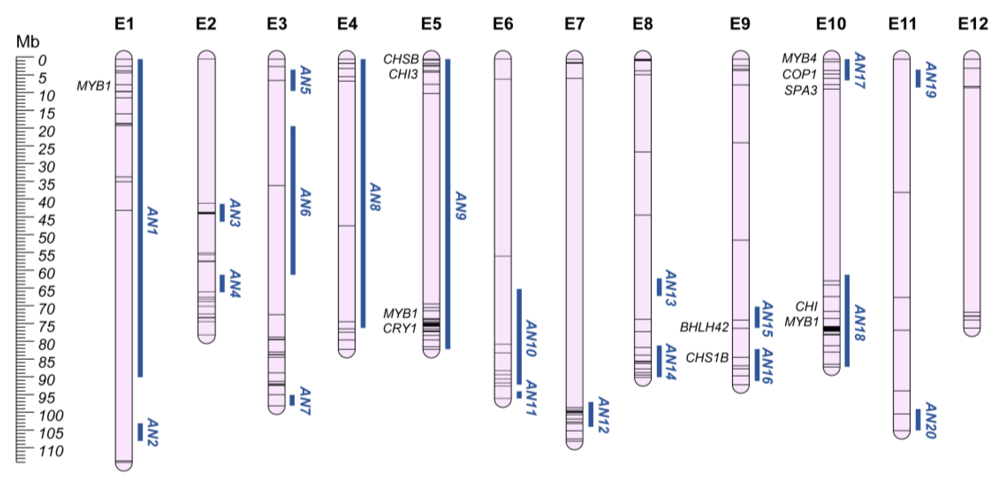 Plants 12 01016 g005