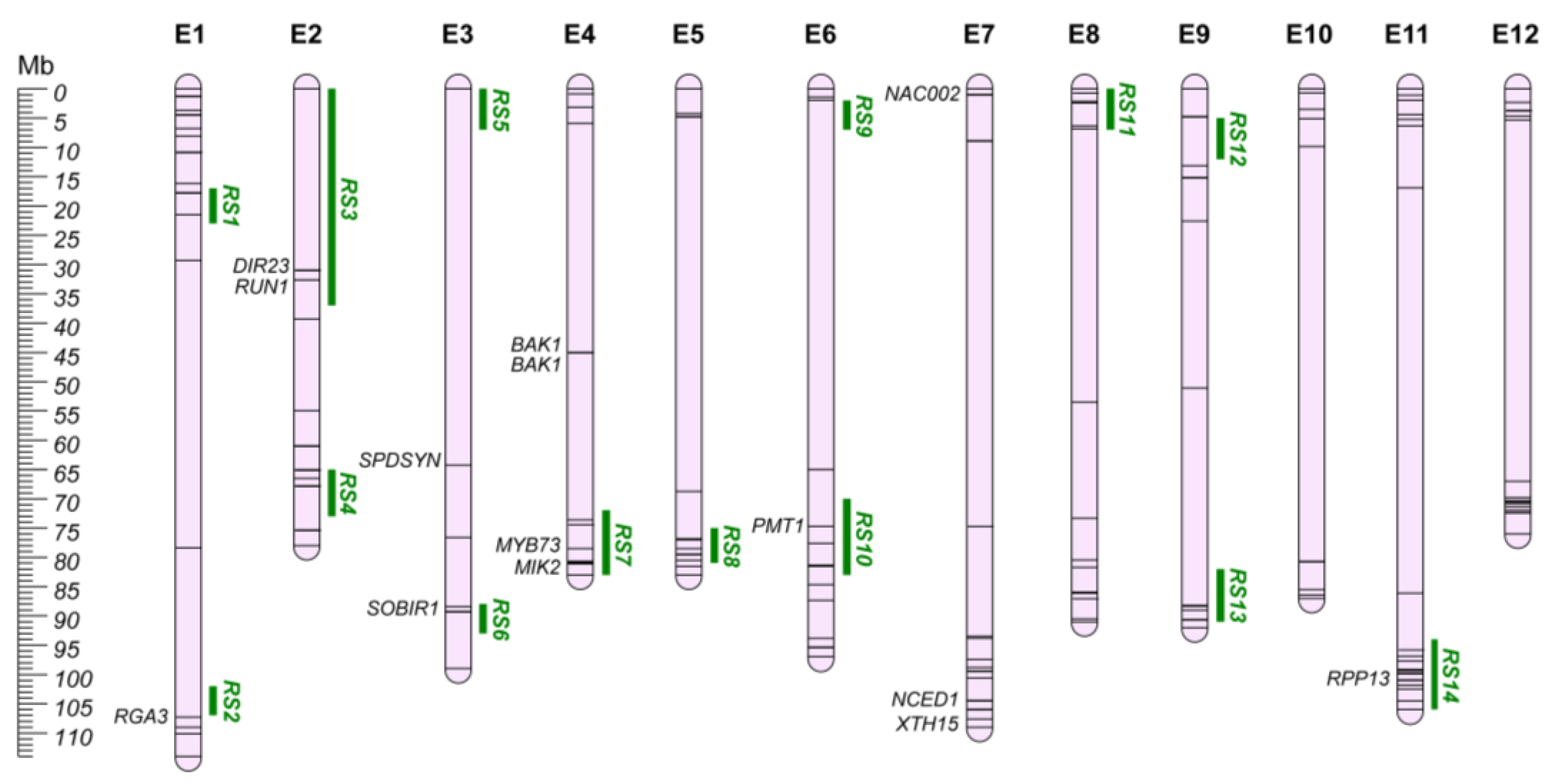 Plants 12 01016 g006