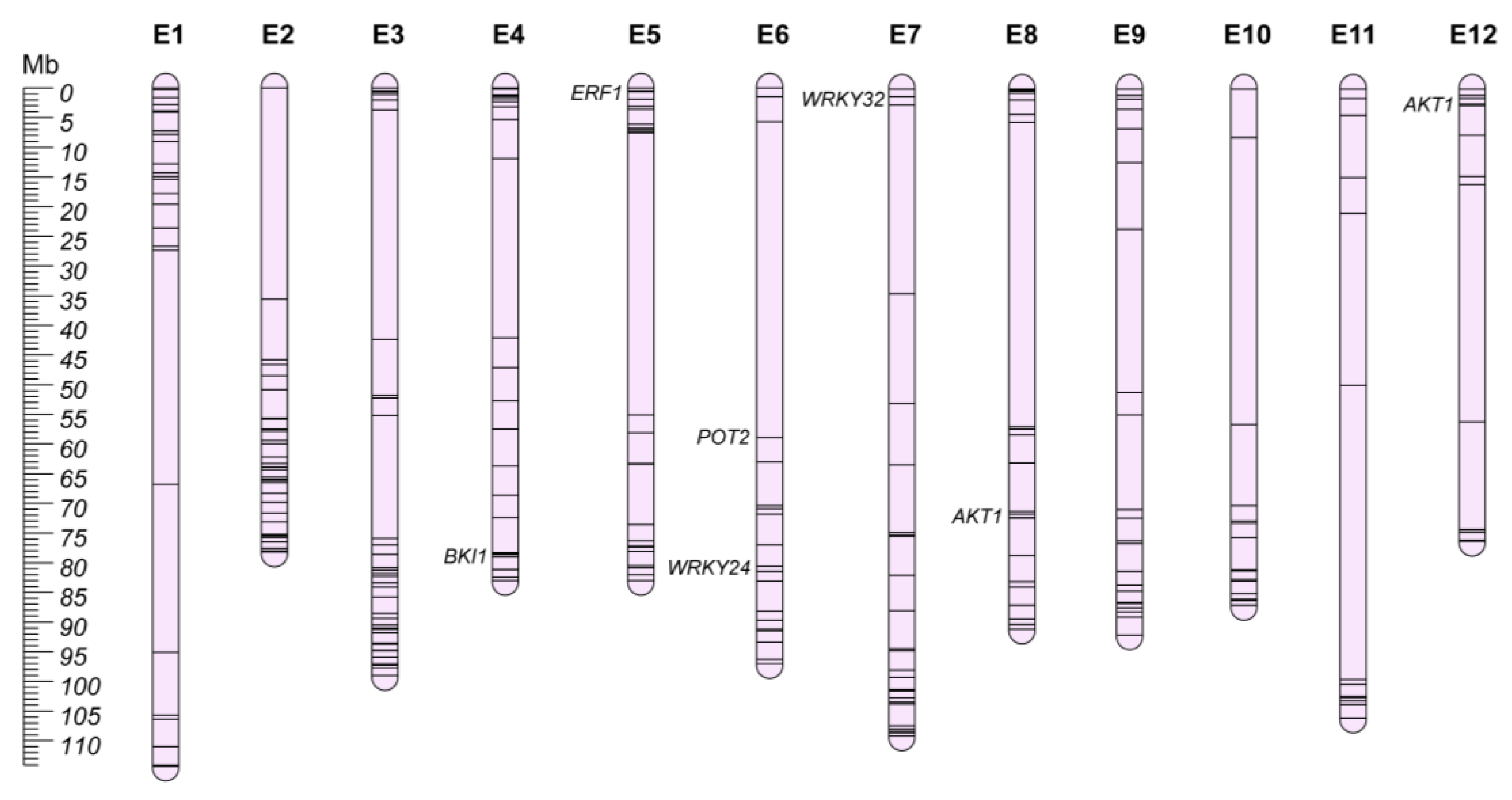 Plants 12 01016 g007