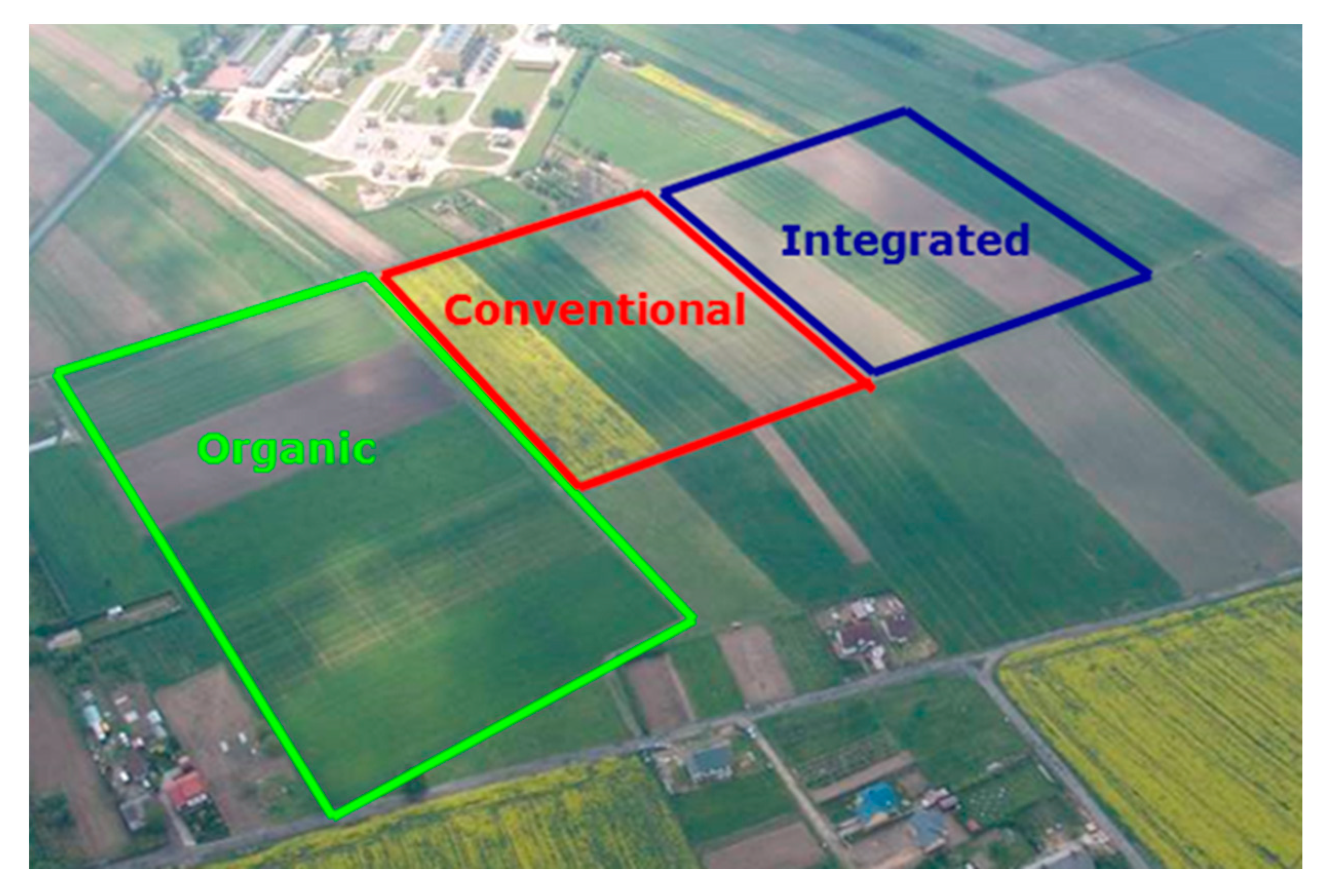 Plants 12 01022 g006 Plants 12 01022 g006