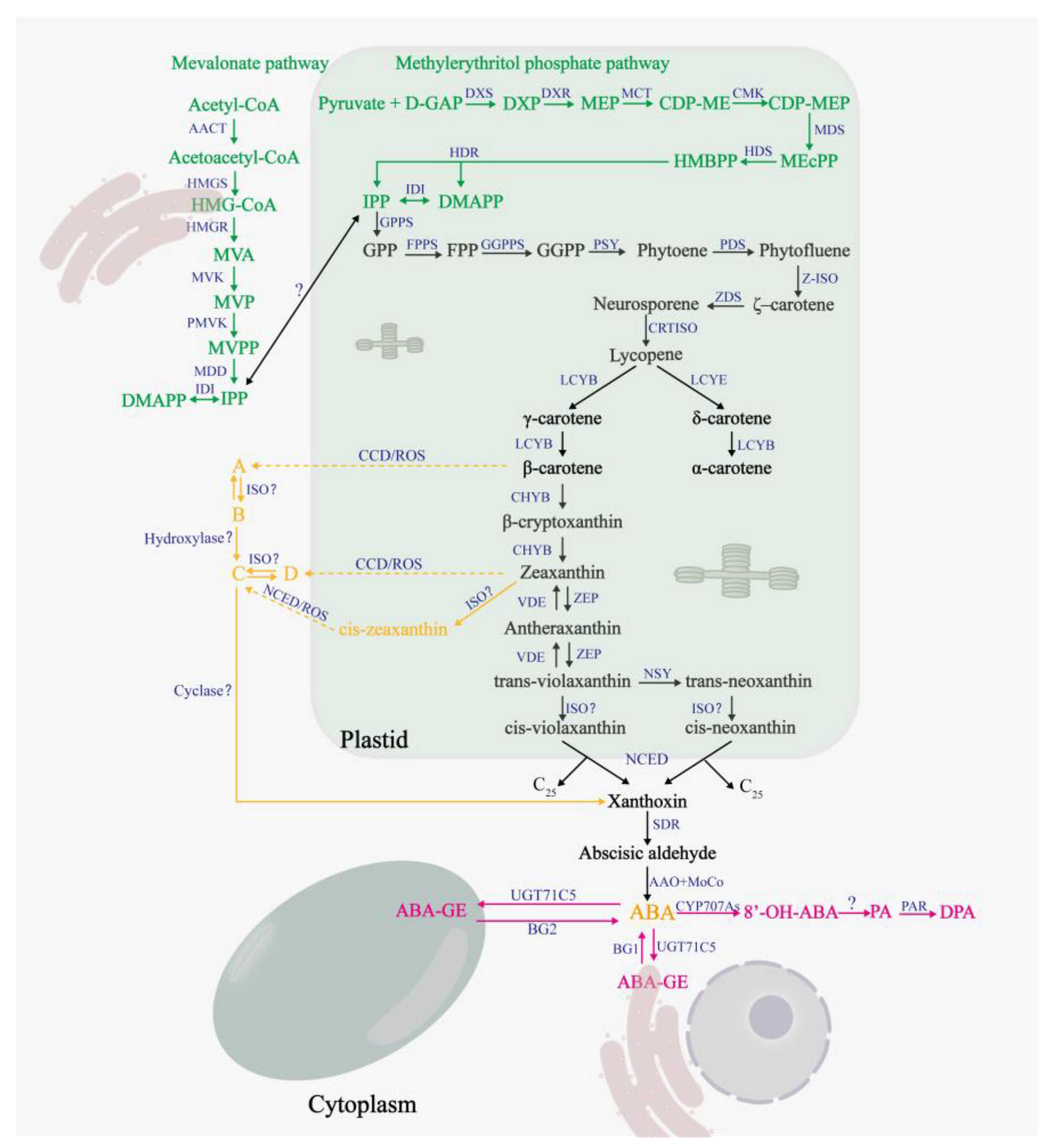 Plants 12 01023 g001