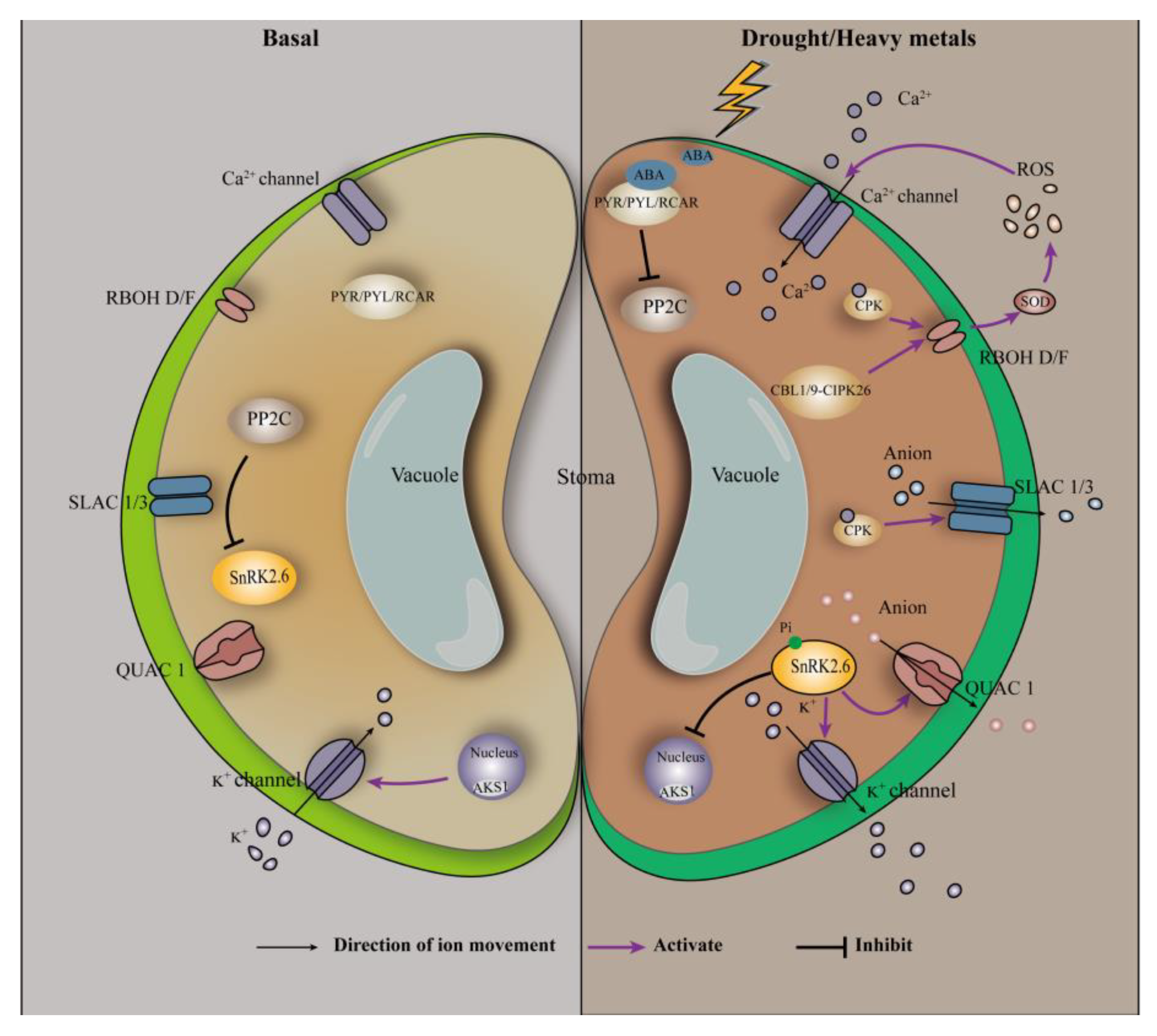 Plants 12 01023 g002