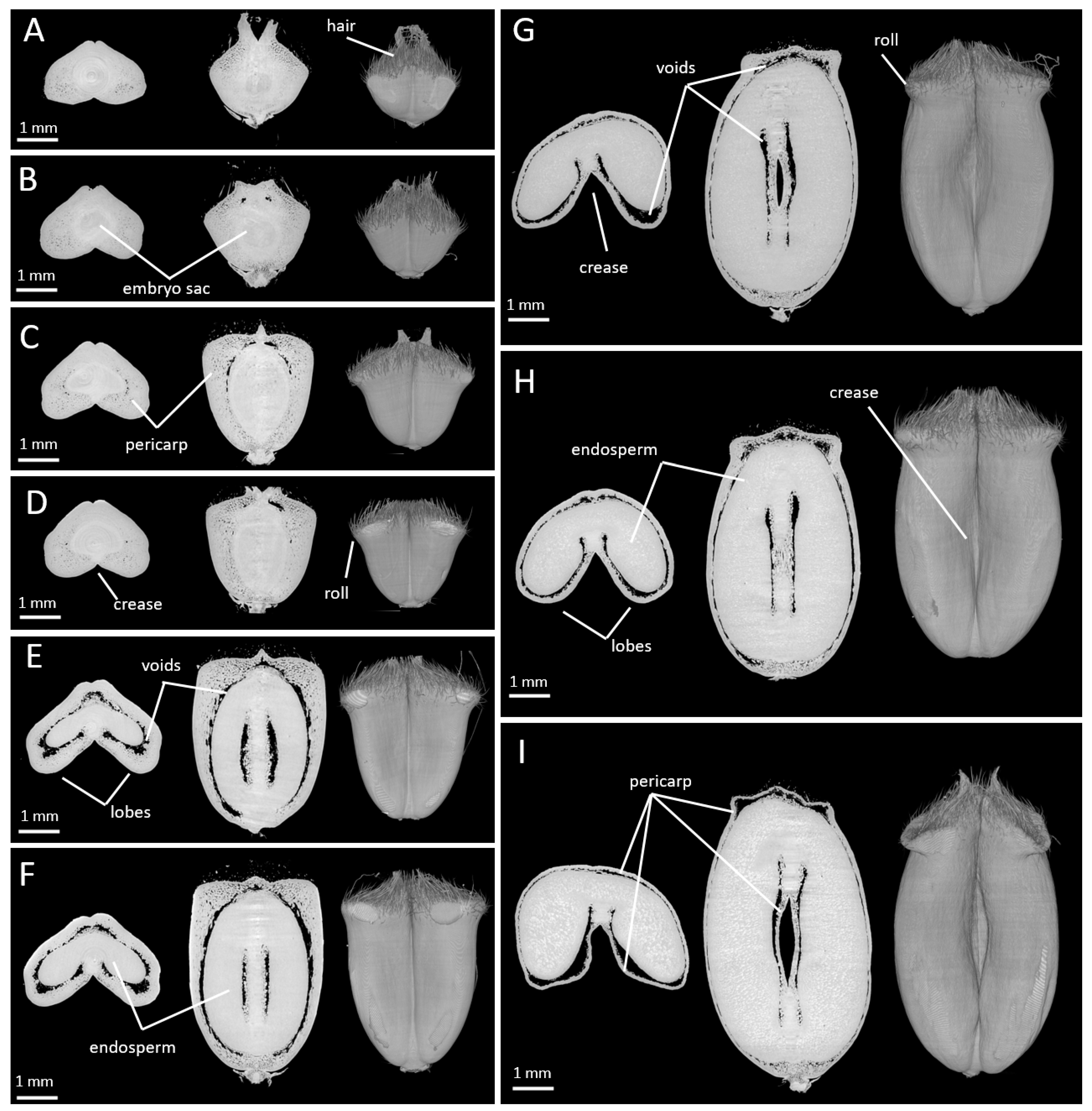 Plants 12 01038 g001