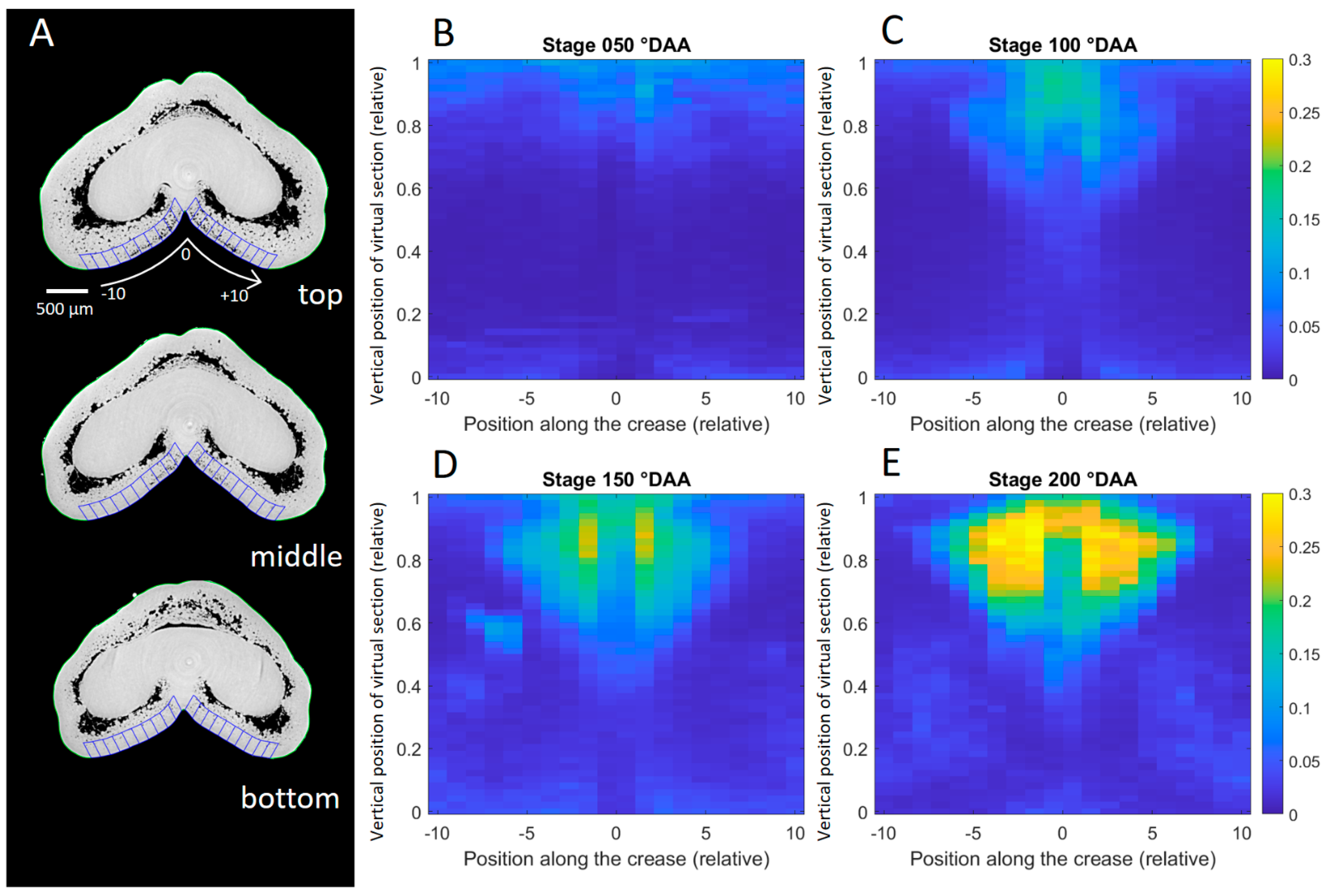 Plants 12 01038 g008