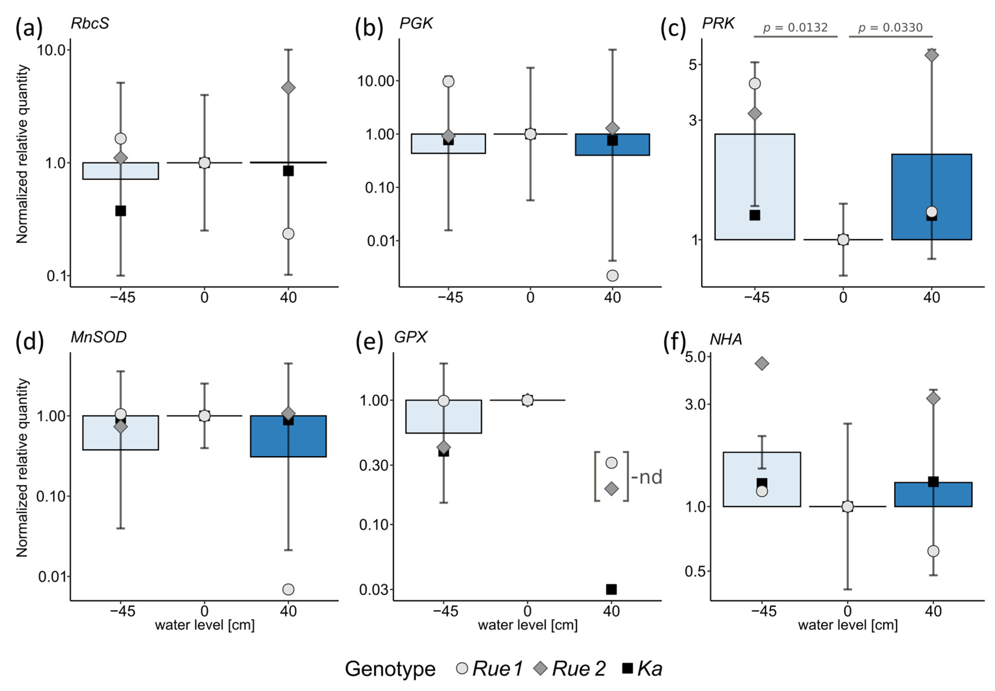 Plants 12 01045 g003 Plants 12 01045 g003
