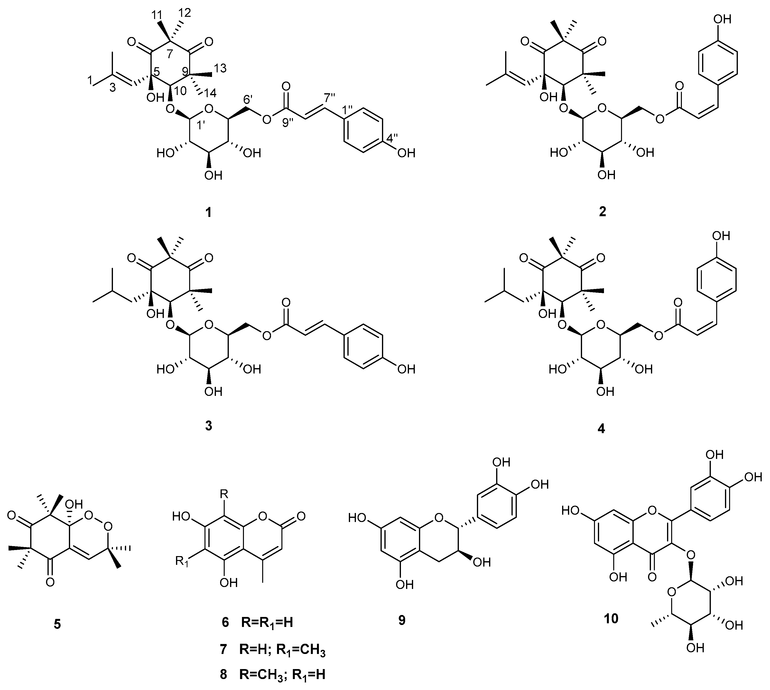 Plants 12 01046 g003