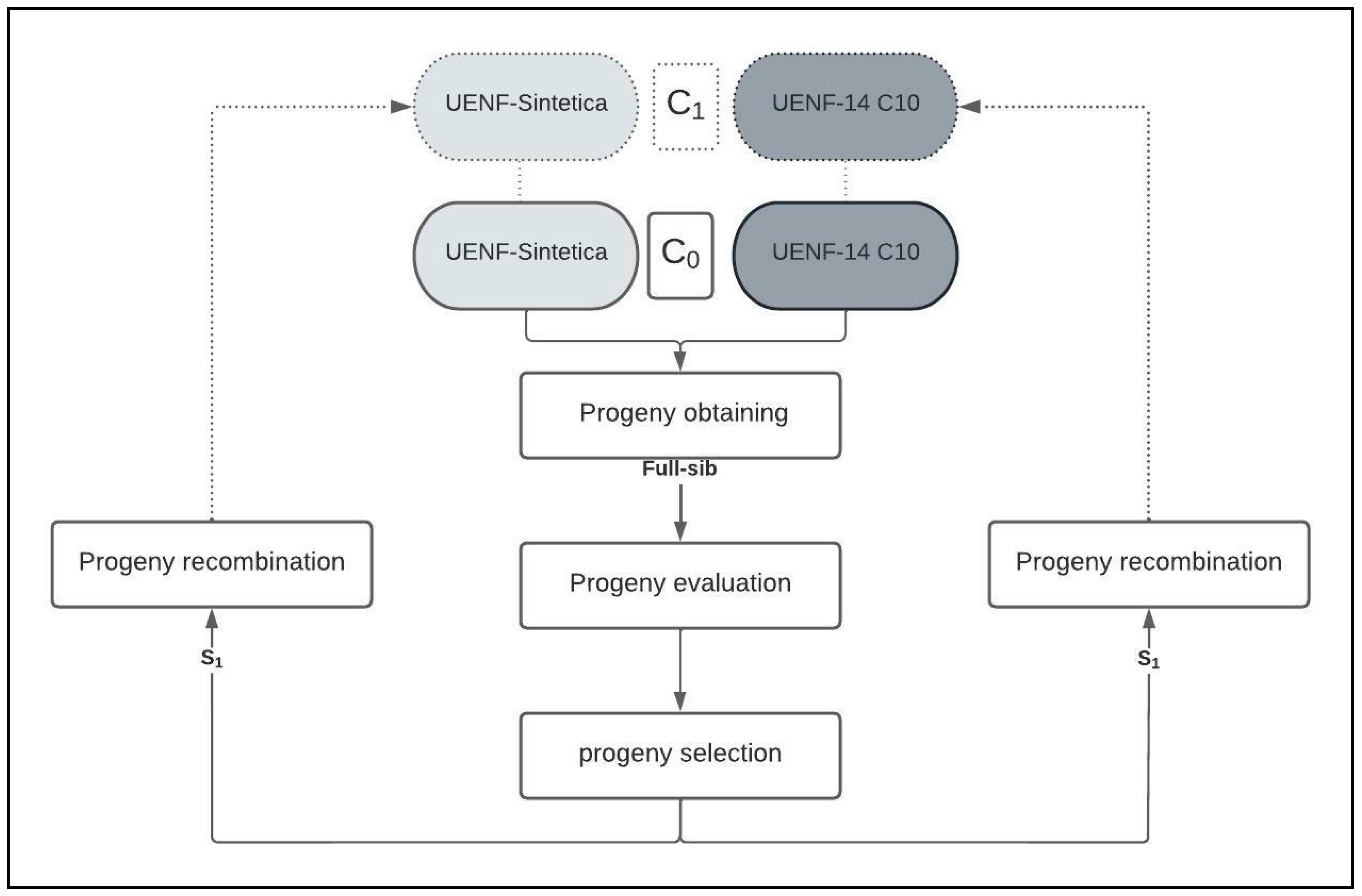 Plants 12 01056 g004