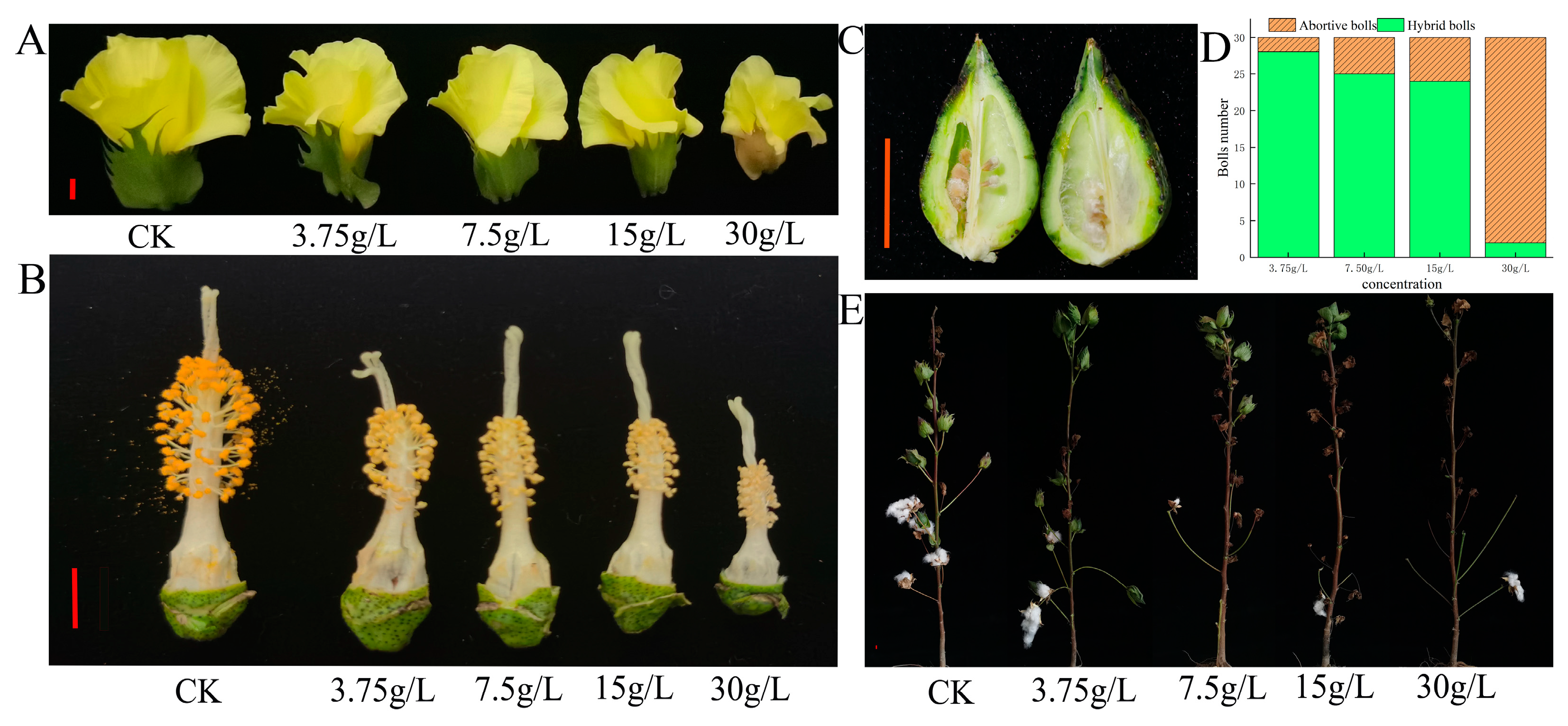 Plants 12 01058 g001 Plants 12 01058 g001