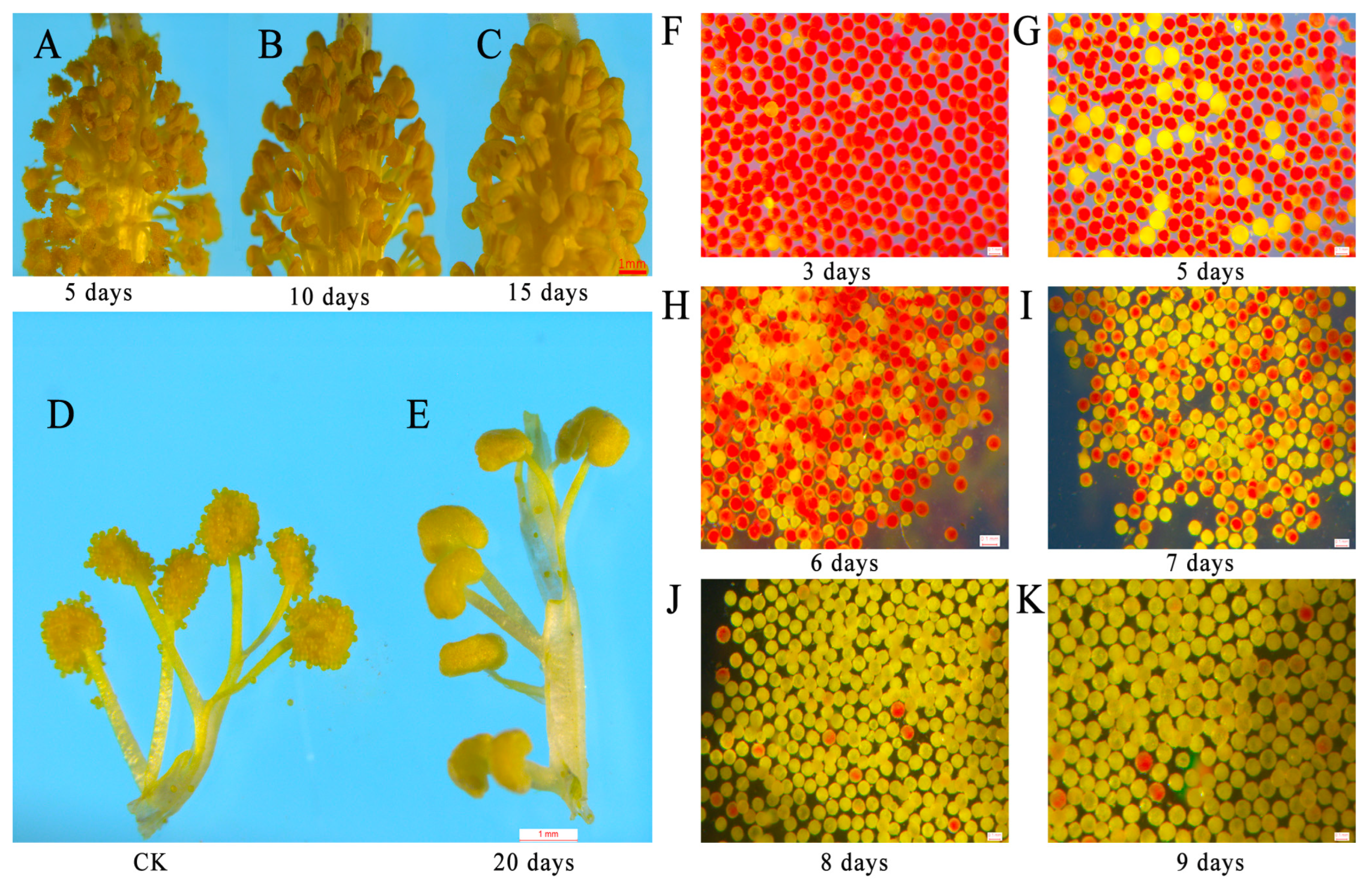 Plants 12 01058 g004 Plants 12 01058 g004