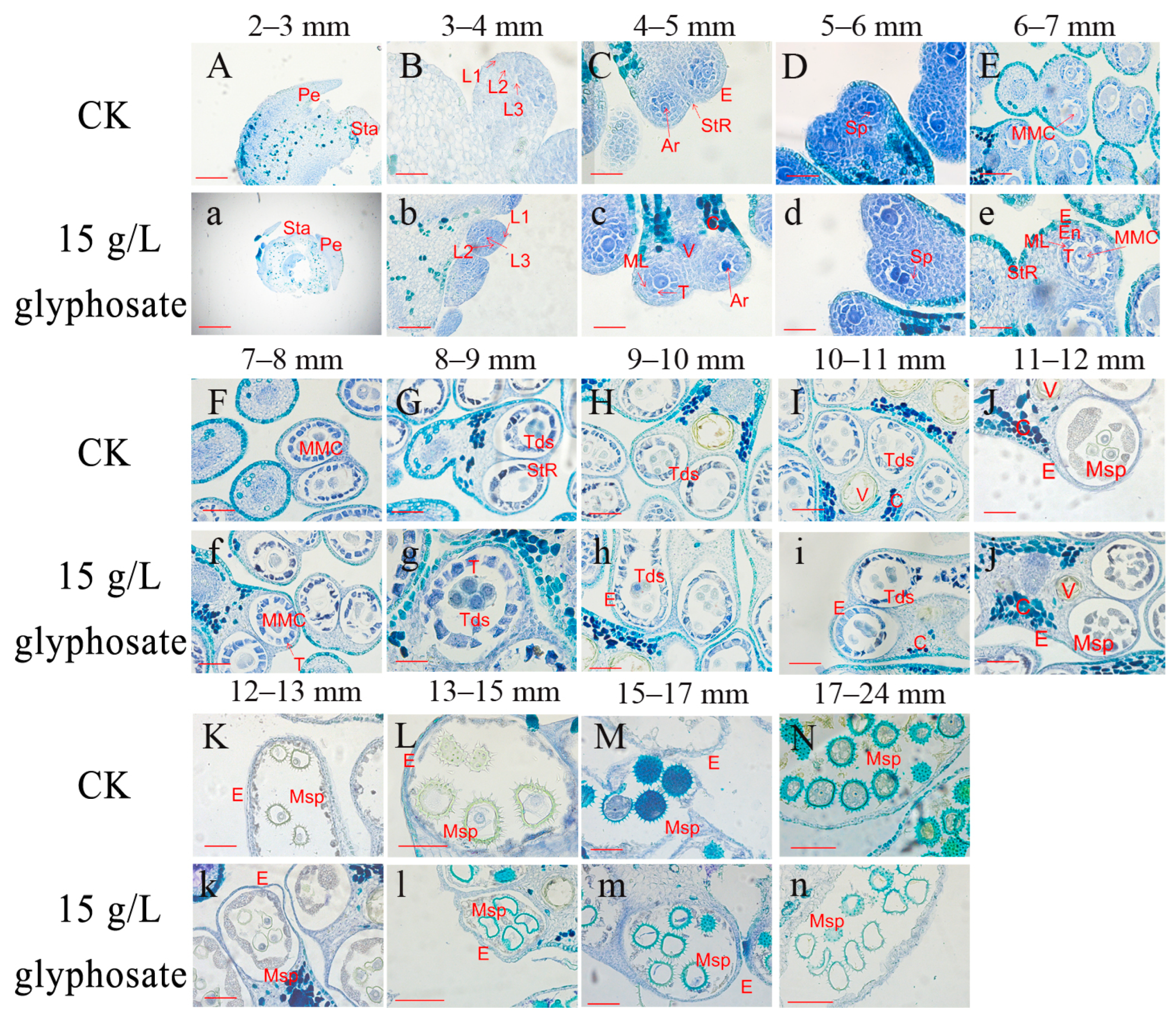 Plants 12 01058 g005 Plants 12 01058 g005