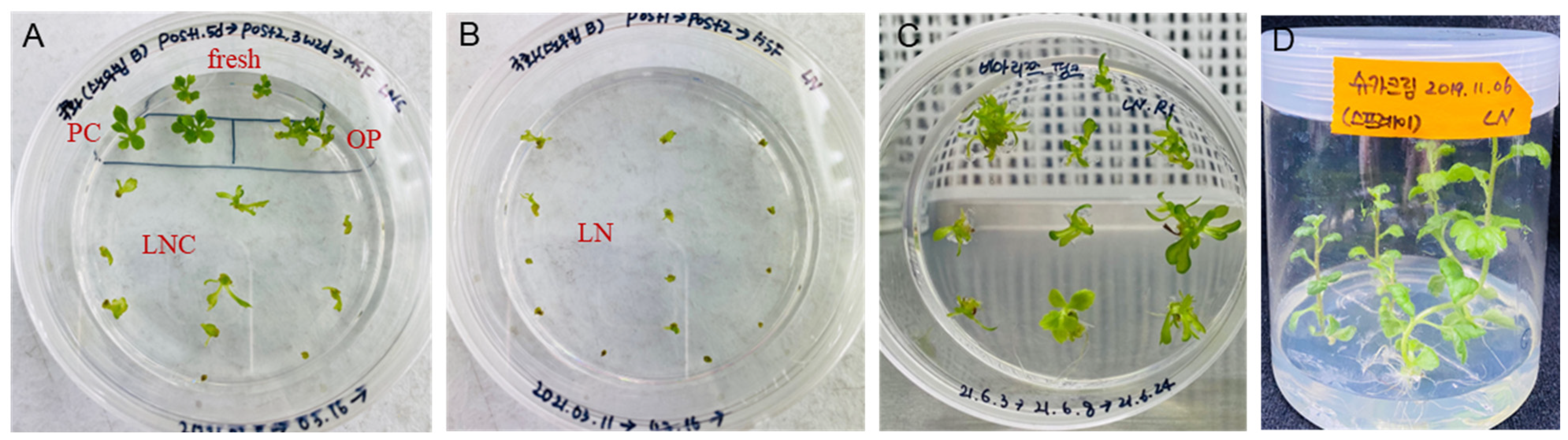 Plants 12 01059 g005