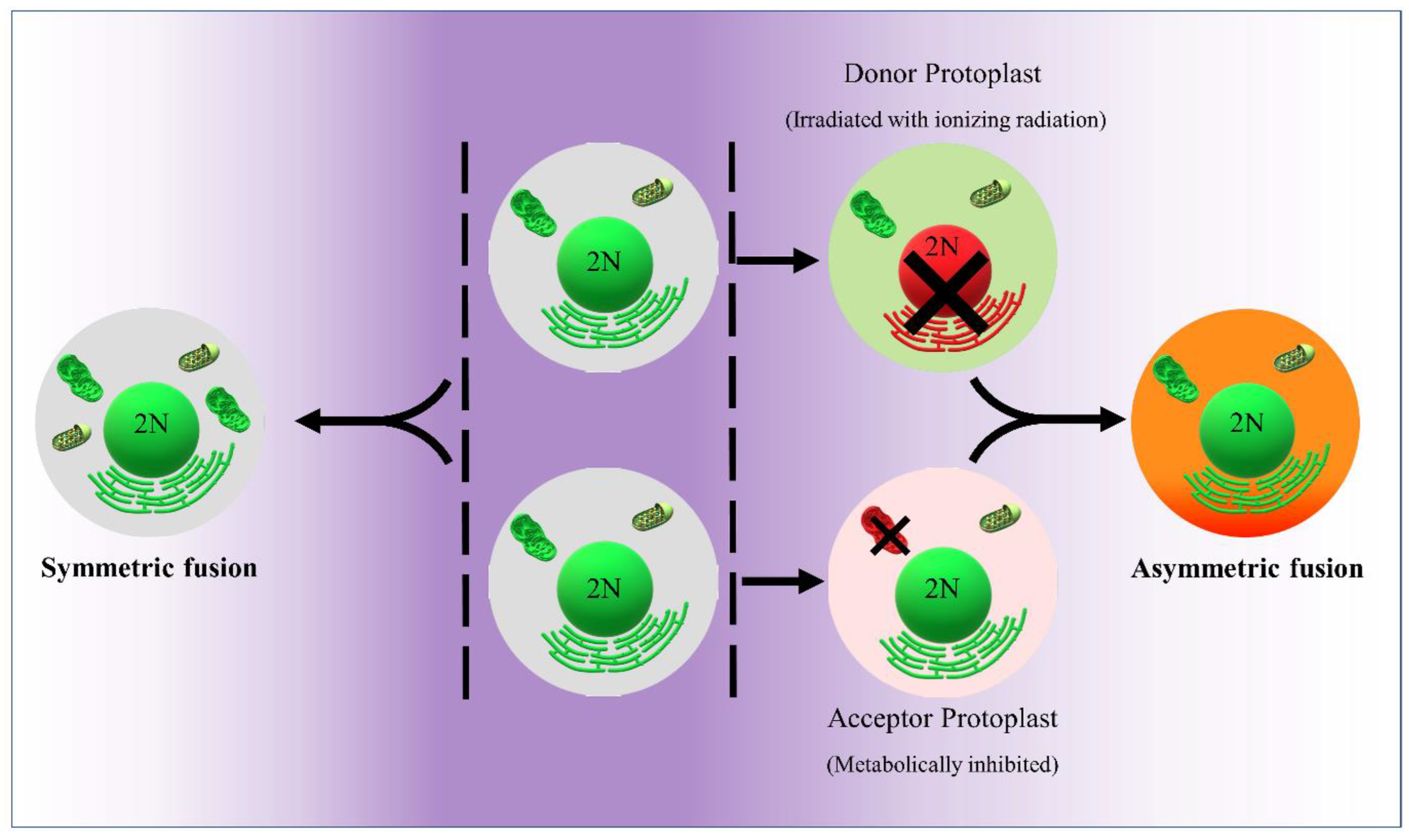 Plants 12 01060 g003