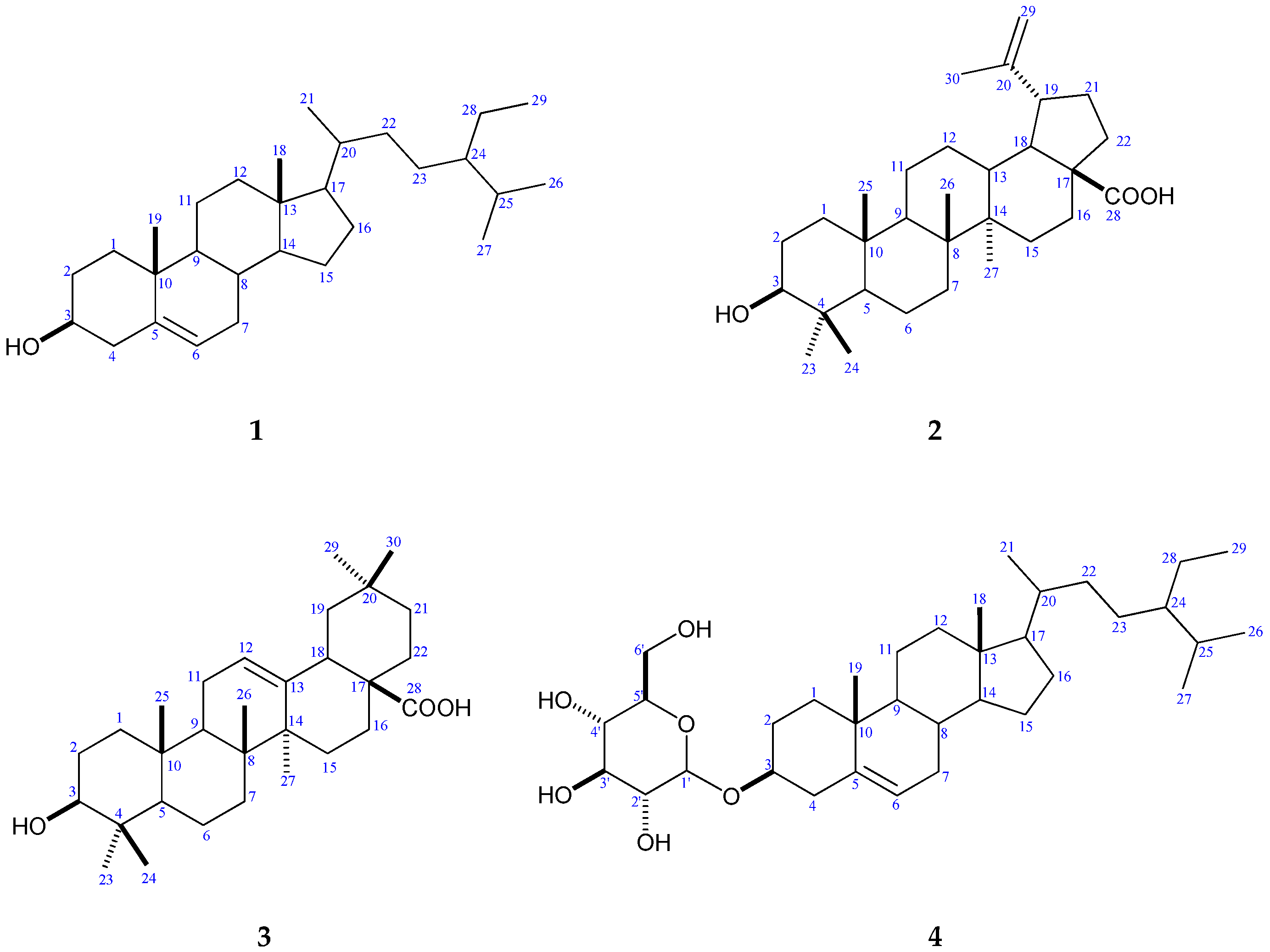 Plants 12 01062 g006