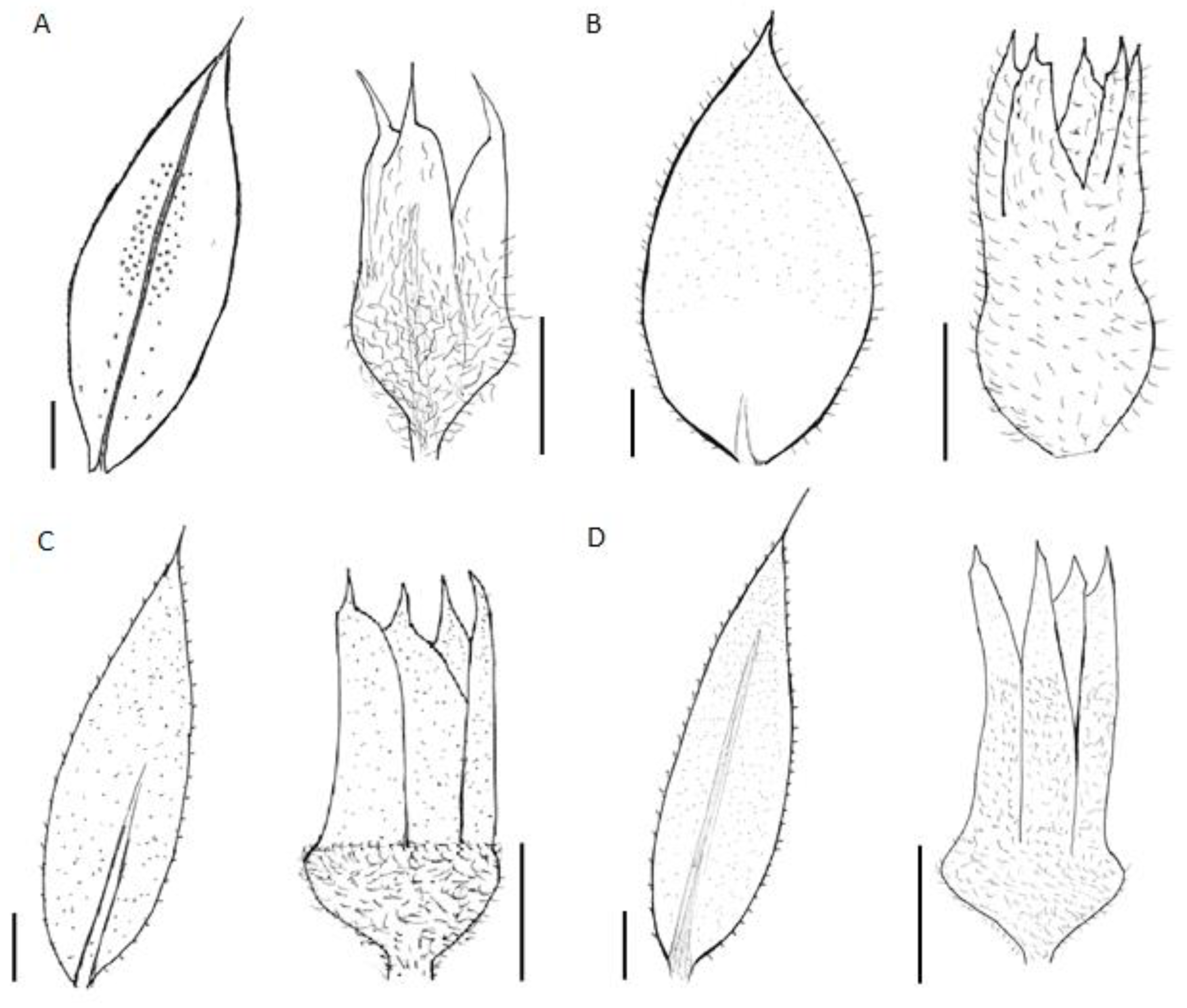 Plants 12 01064 g005 Plants 12 01064 g005