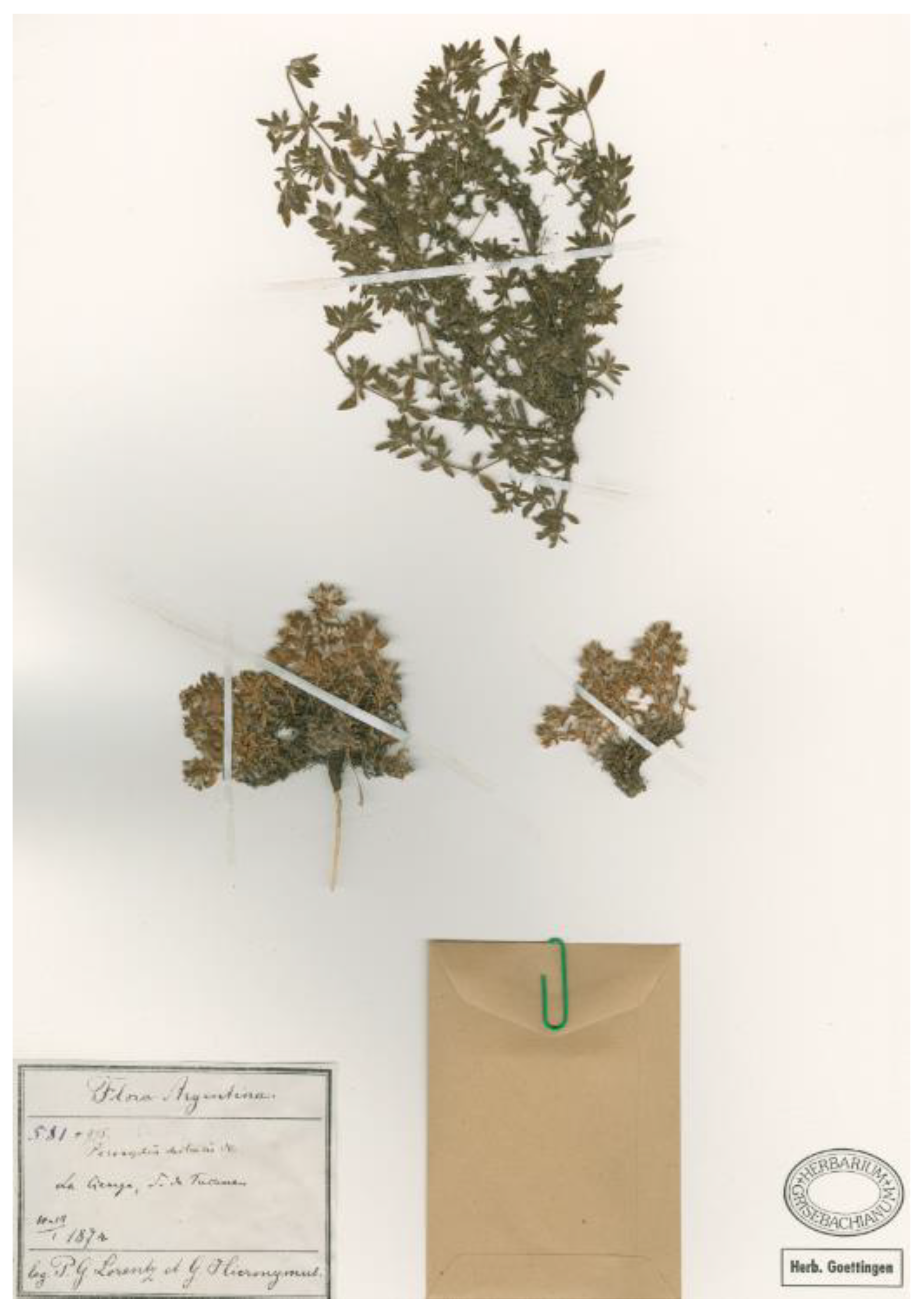 Plants 12 01064 g008 Plants 12 01064 g008