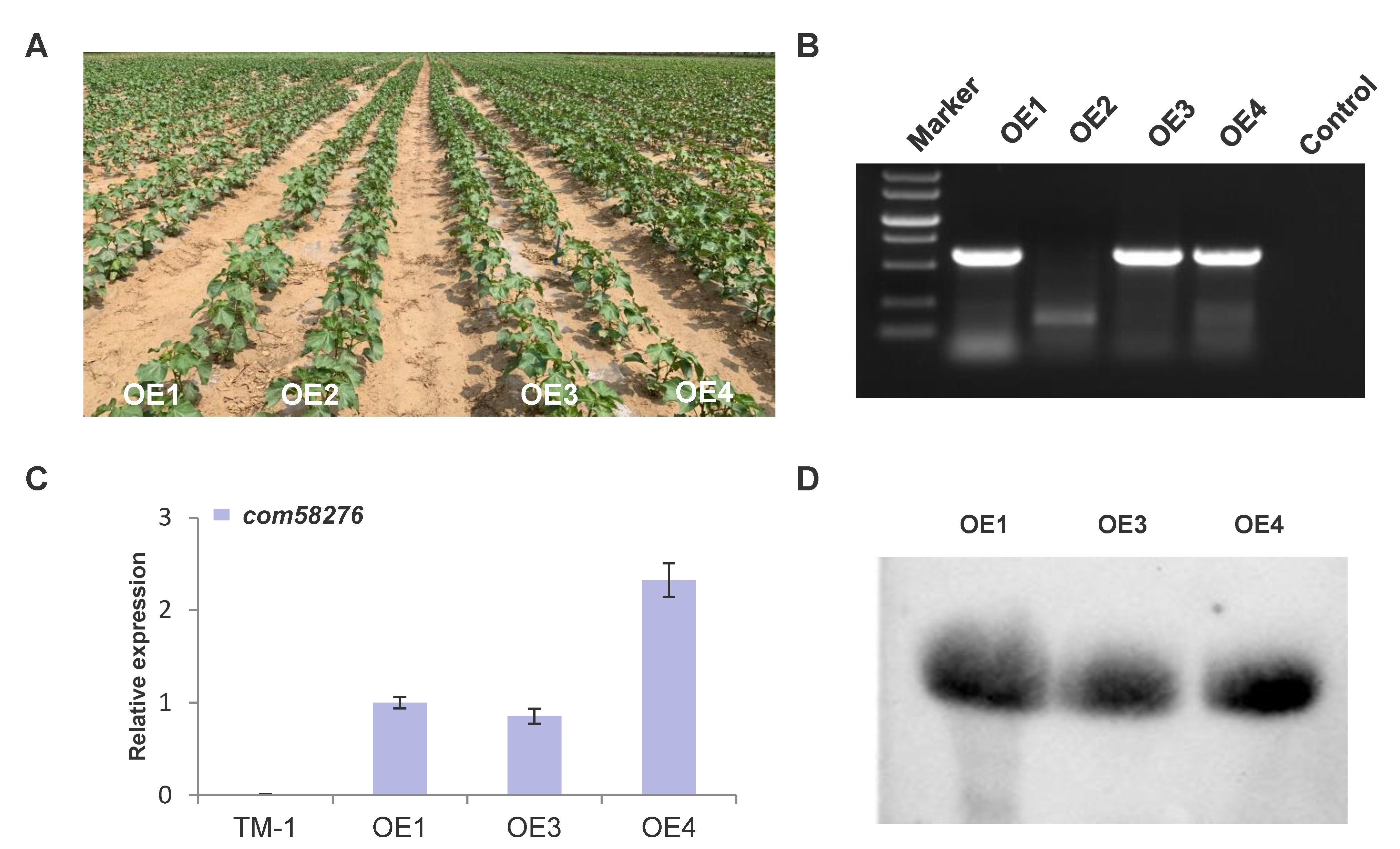 Plants 12 01069 g002