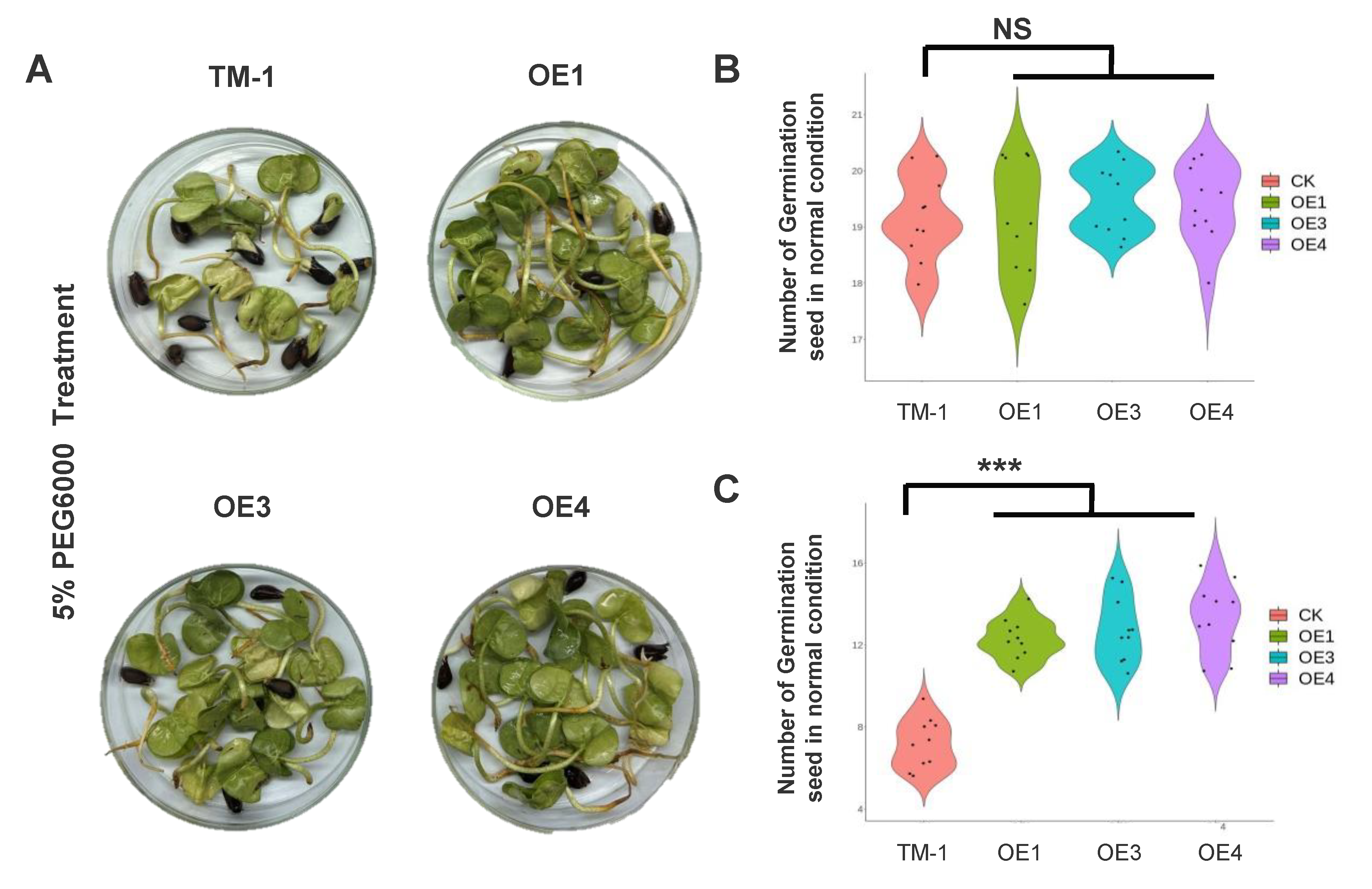 Plants 12 01069 g003