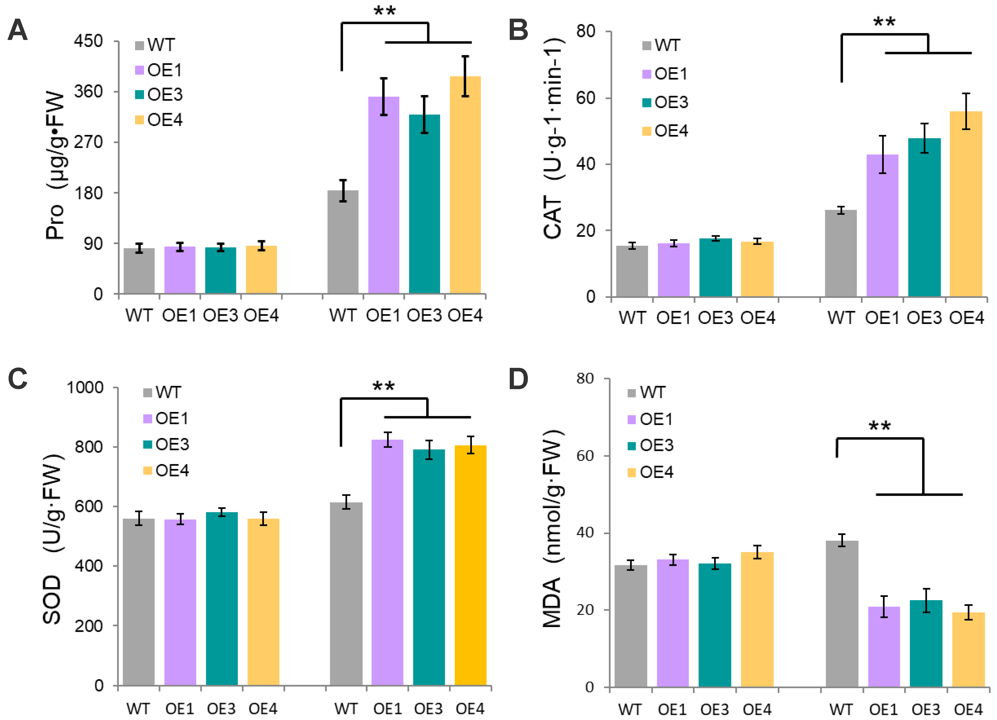 Plants 12 01069 g005