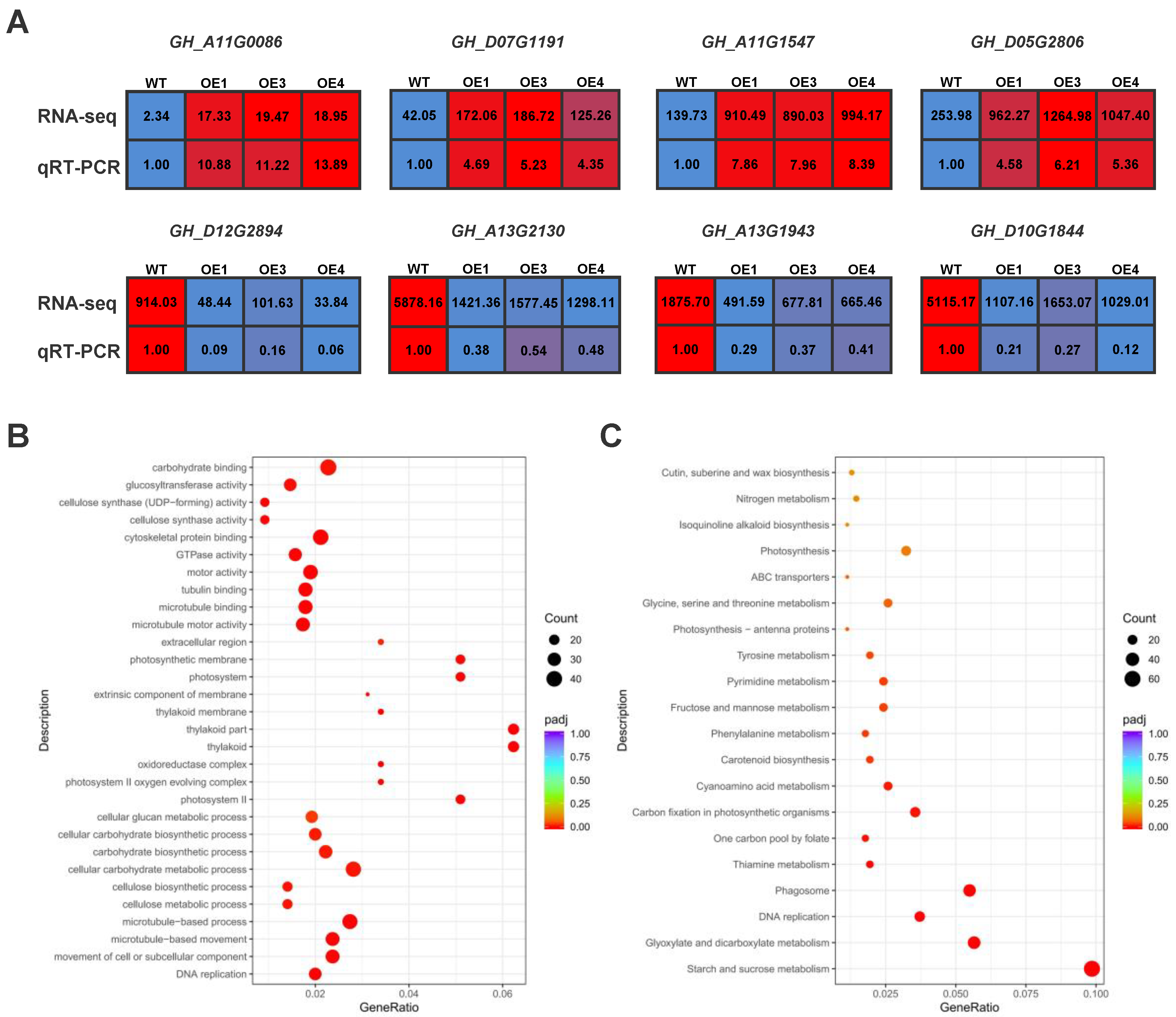 Plants 12 01069 g006