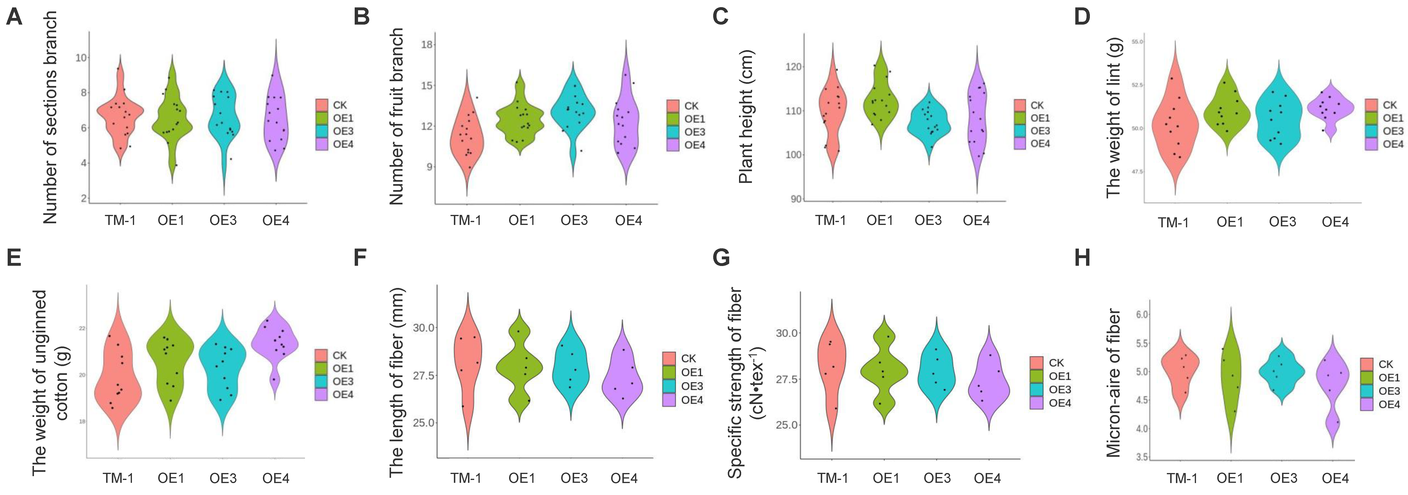 Plants 12 01069 g007
