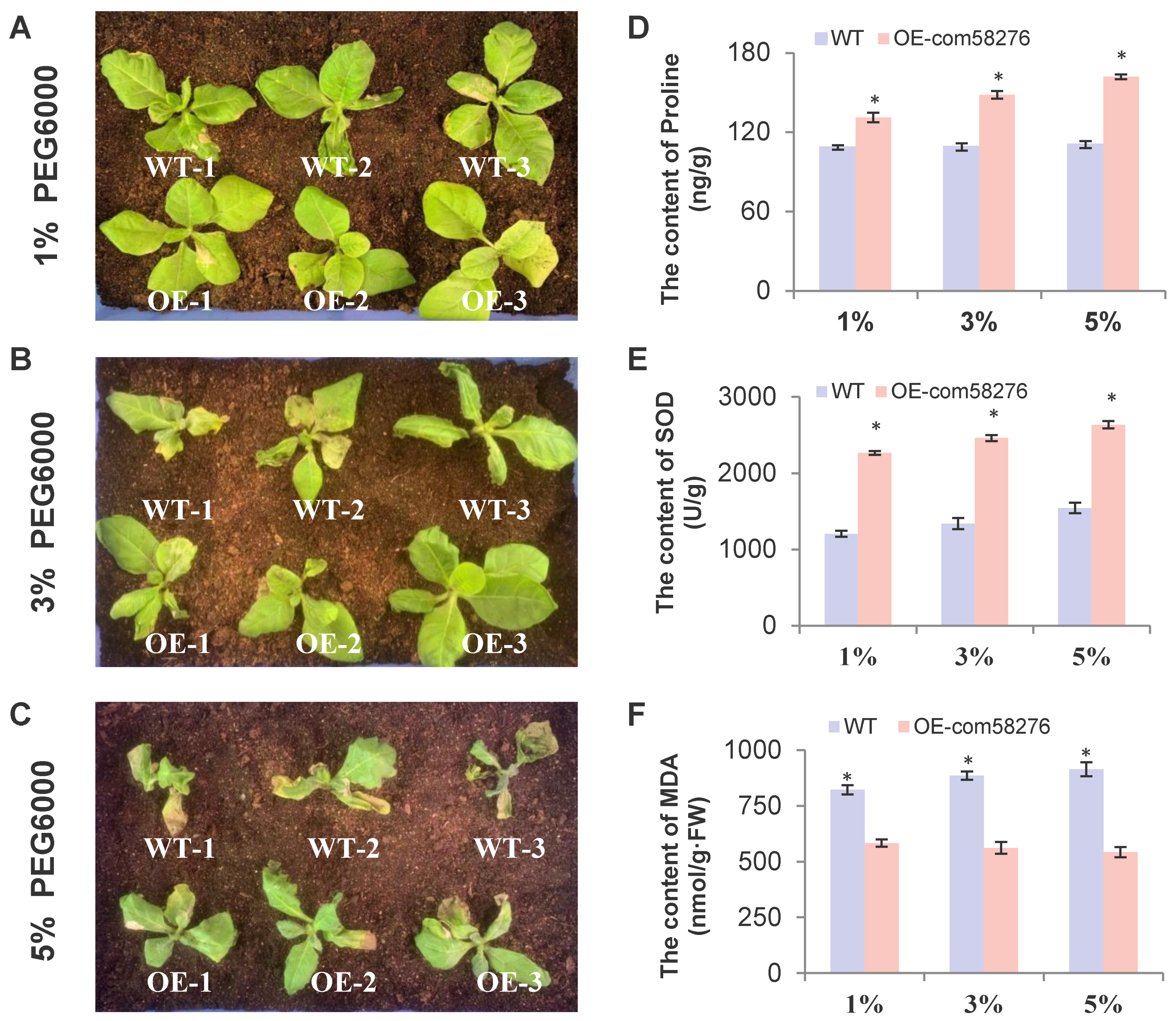 Plants 12 01069 g008