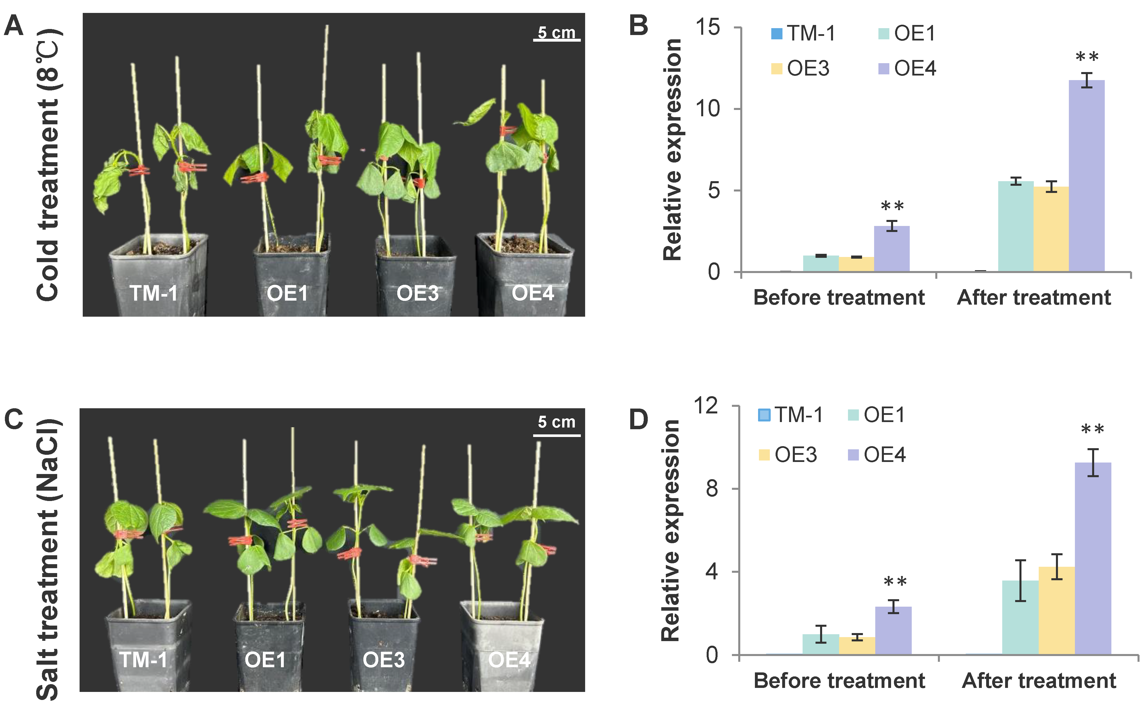 Plants 12 01069 g009