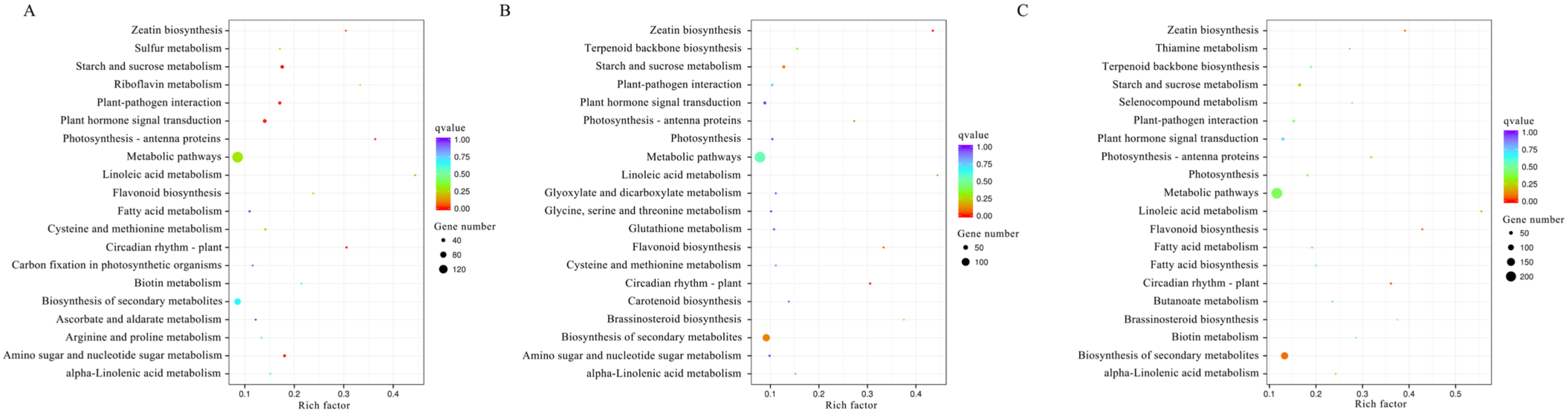 Plants 12 01070 g004