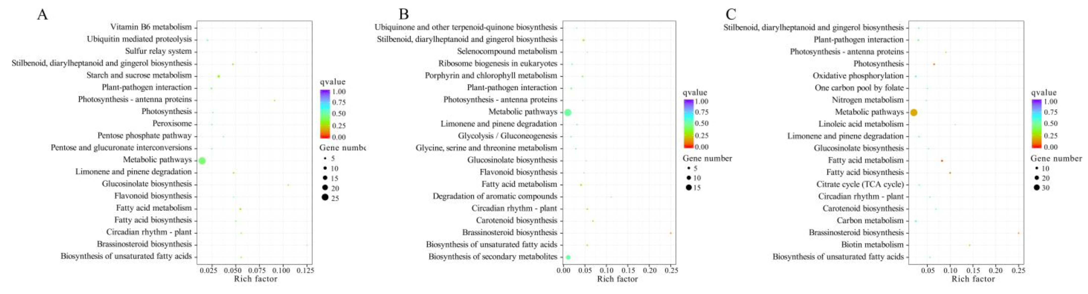 Plants 12 01070 g006
