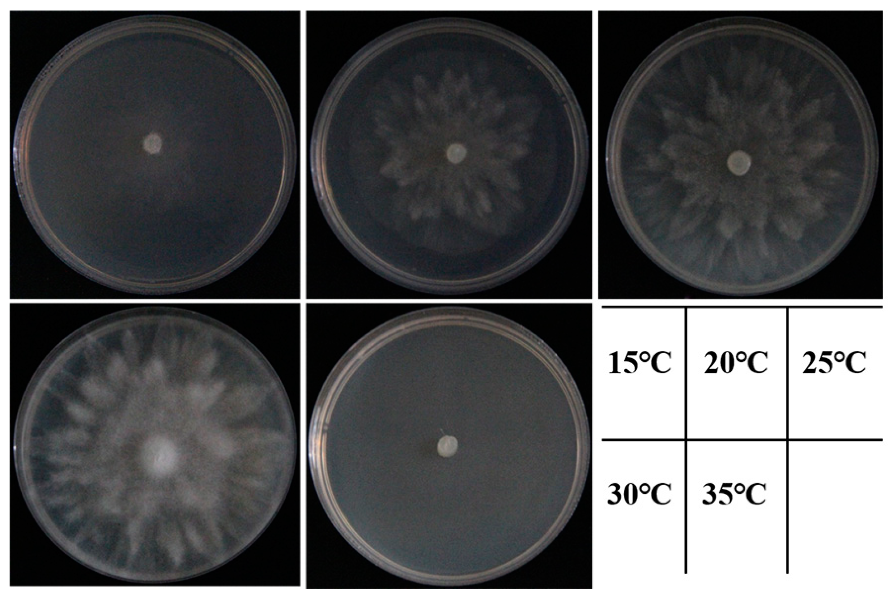 Plants 12 01072 g006 Plants 12 01072 g006