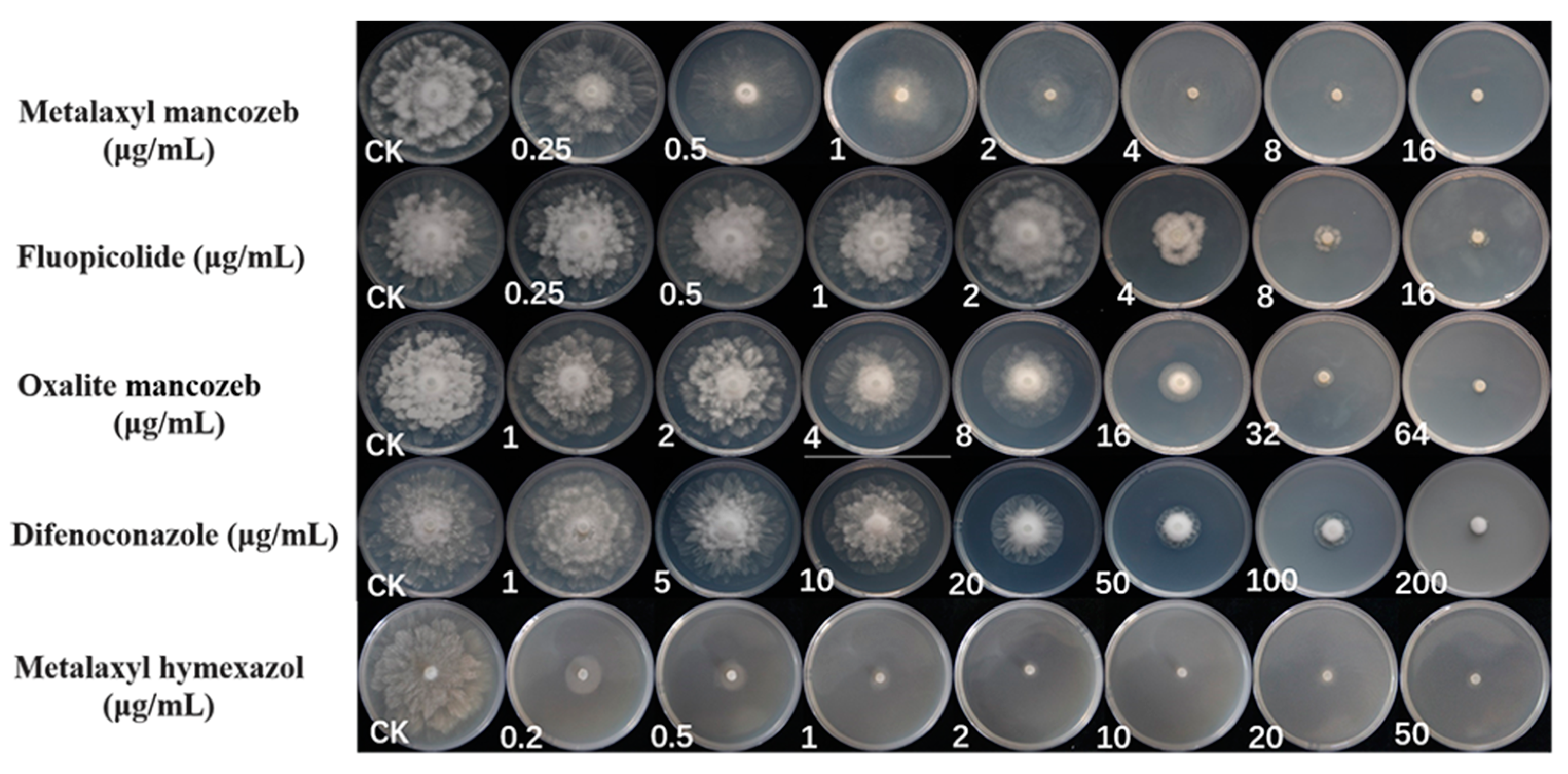 Plants 12 01072 g008 Plants 12 01072 g008