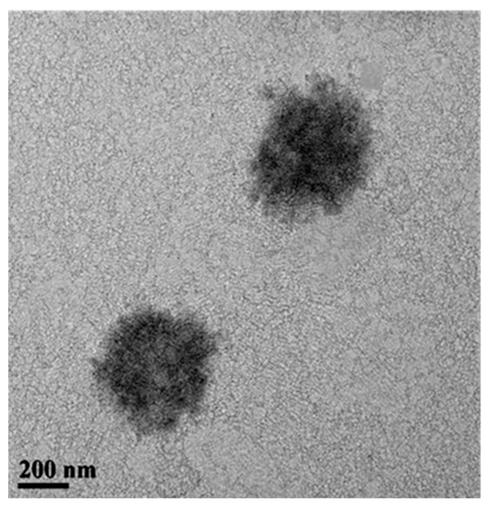 Plants 12 01074 g003