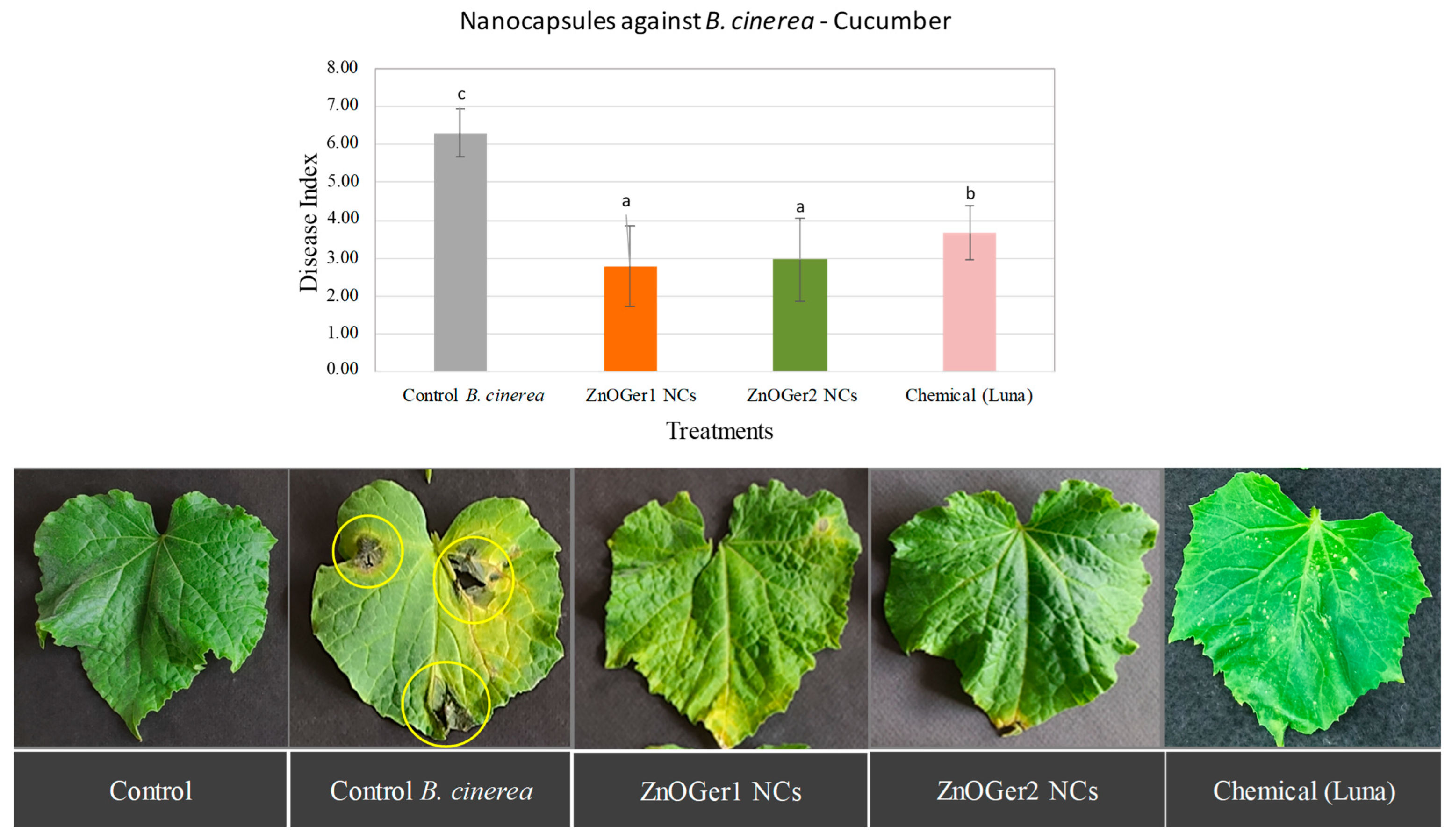 Plants 12 01074 g006
