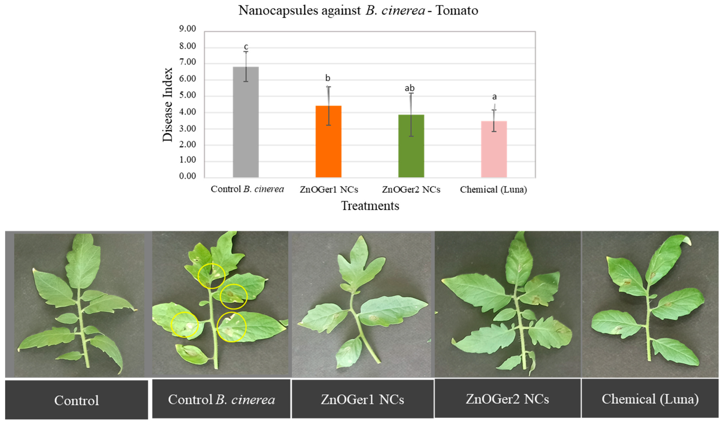 Plants 12 01074 g007