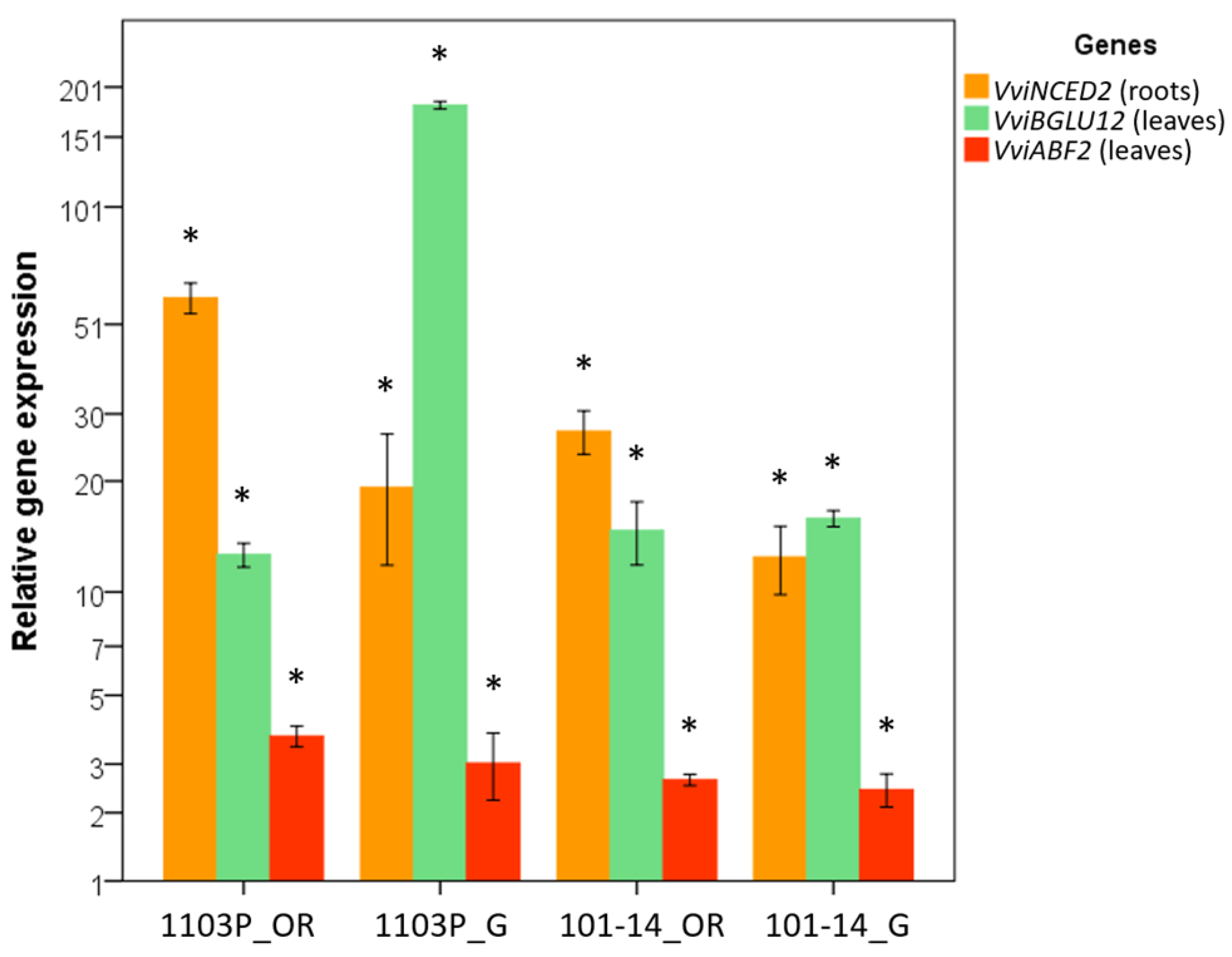 Plants 12 01080 g007