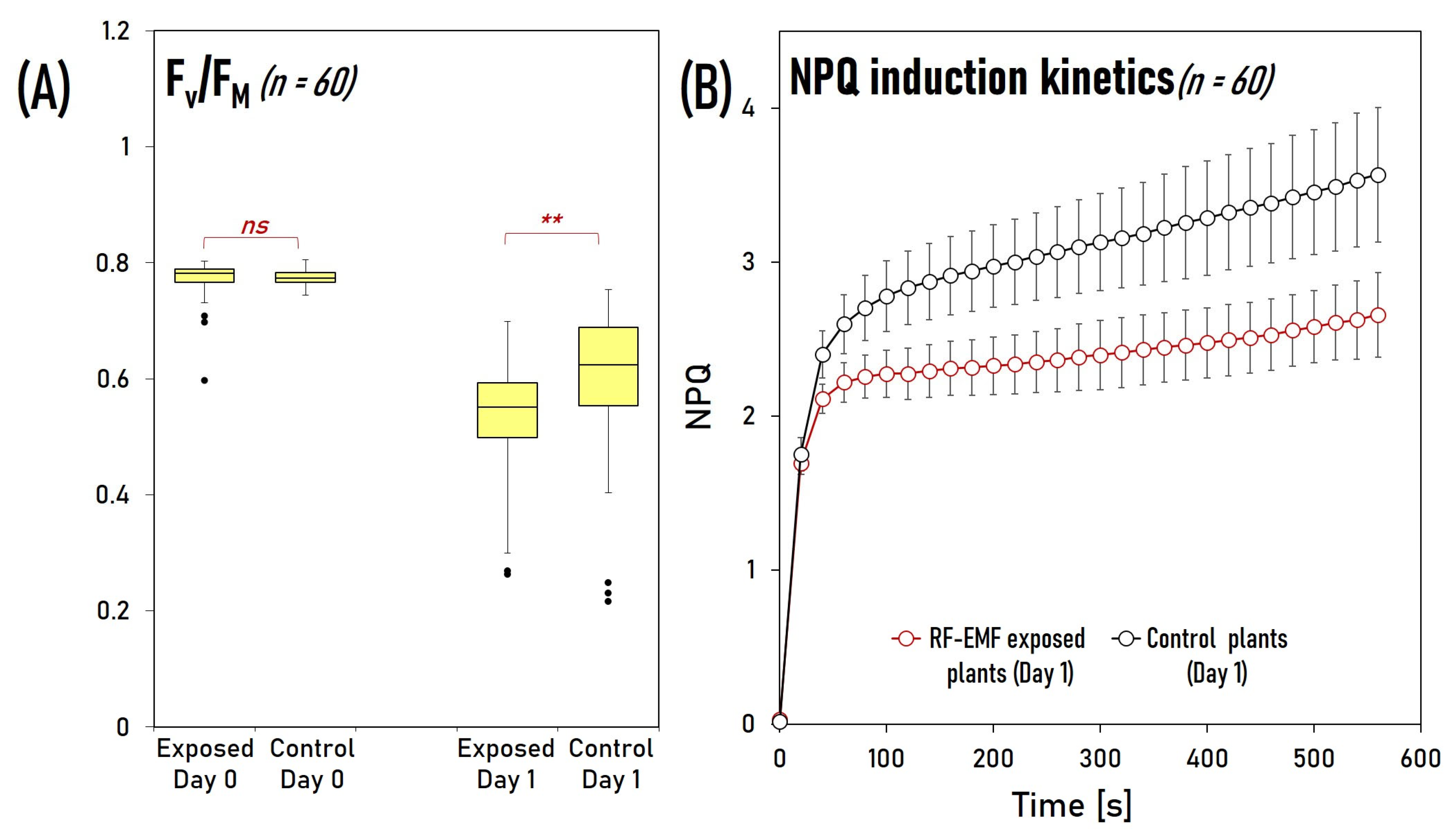Plants 12 01082 g007