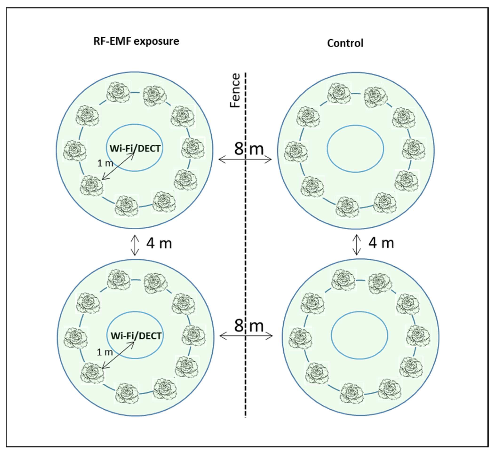 Plants 12 01082 g008