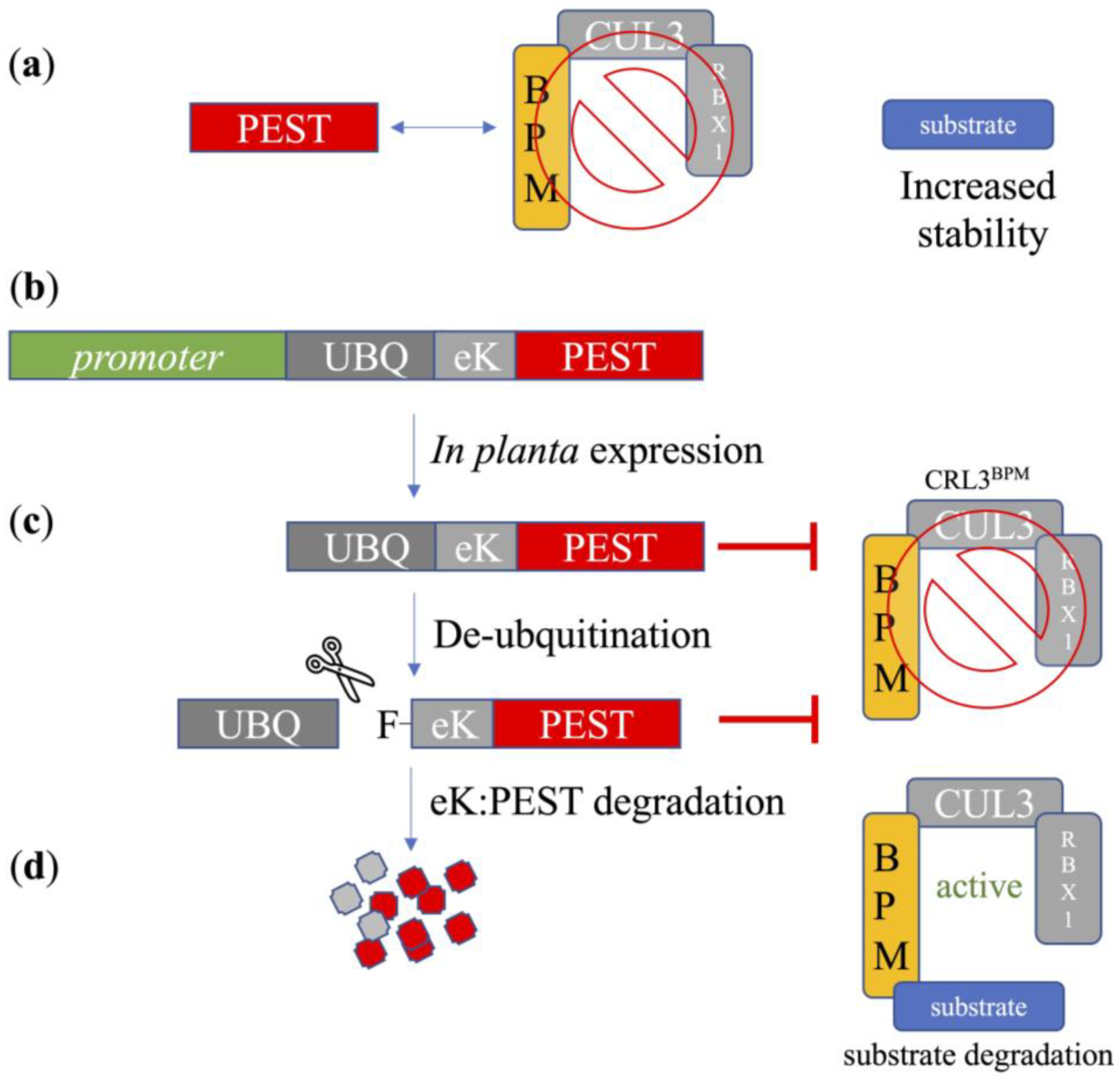 Plants 12 01085 g001