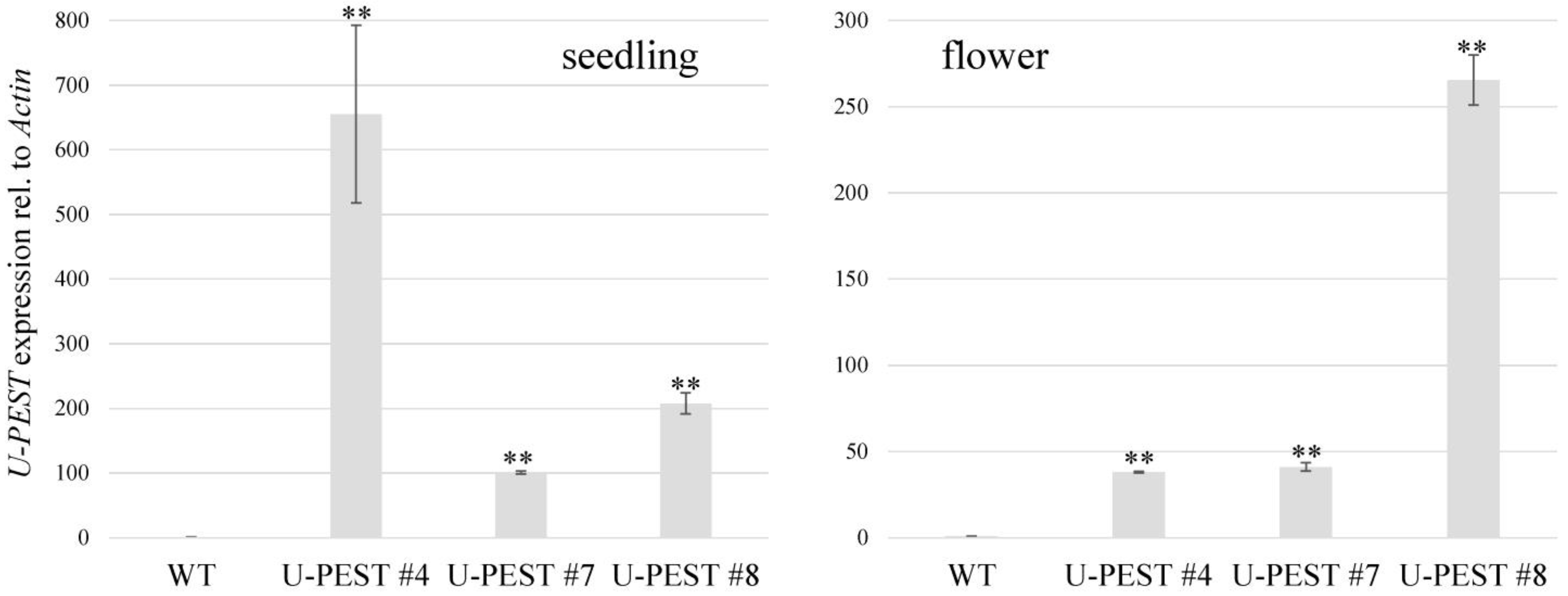 Plants 12 01085 g003