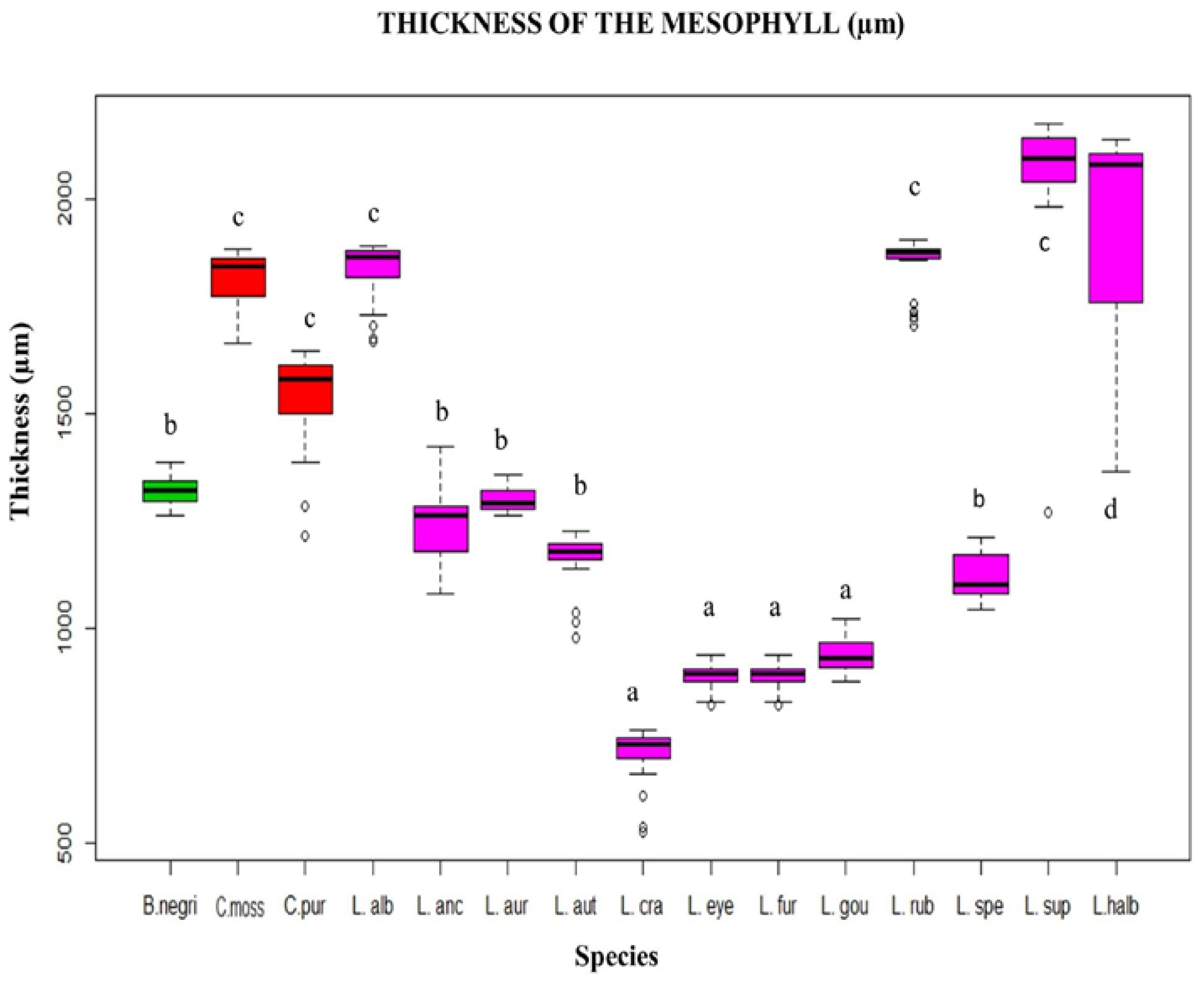 Plants 12 01089 g002 Plants 12 01089 g002